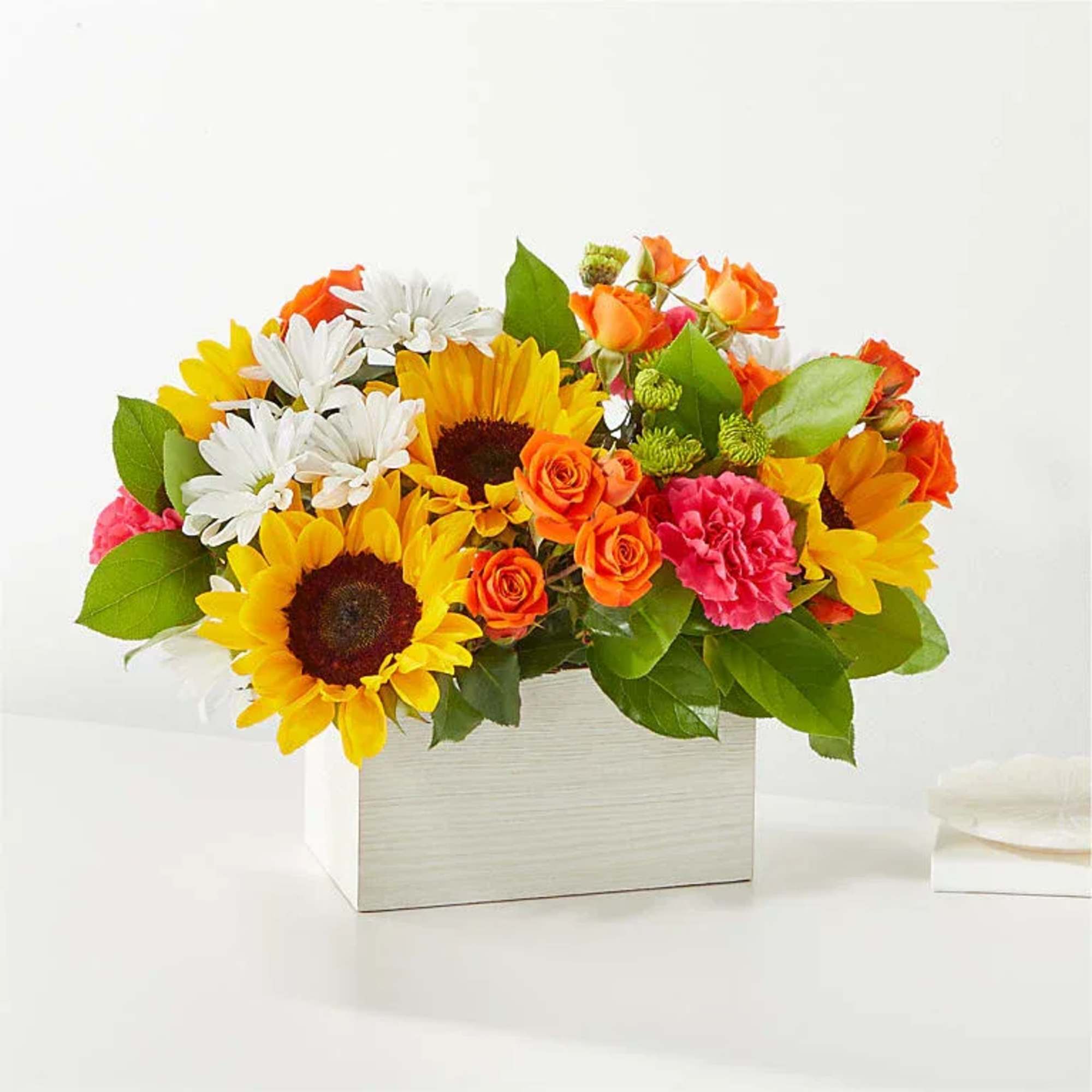 Feel the warmth radiating from these colorful stems, sure to put a