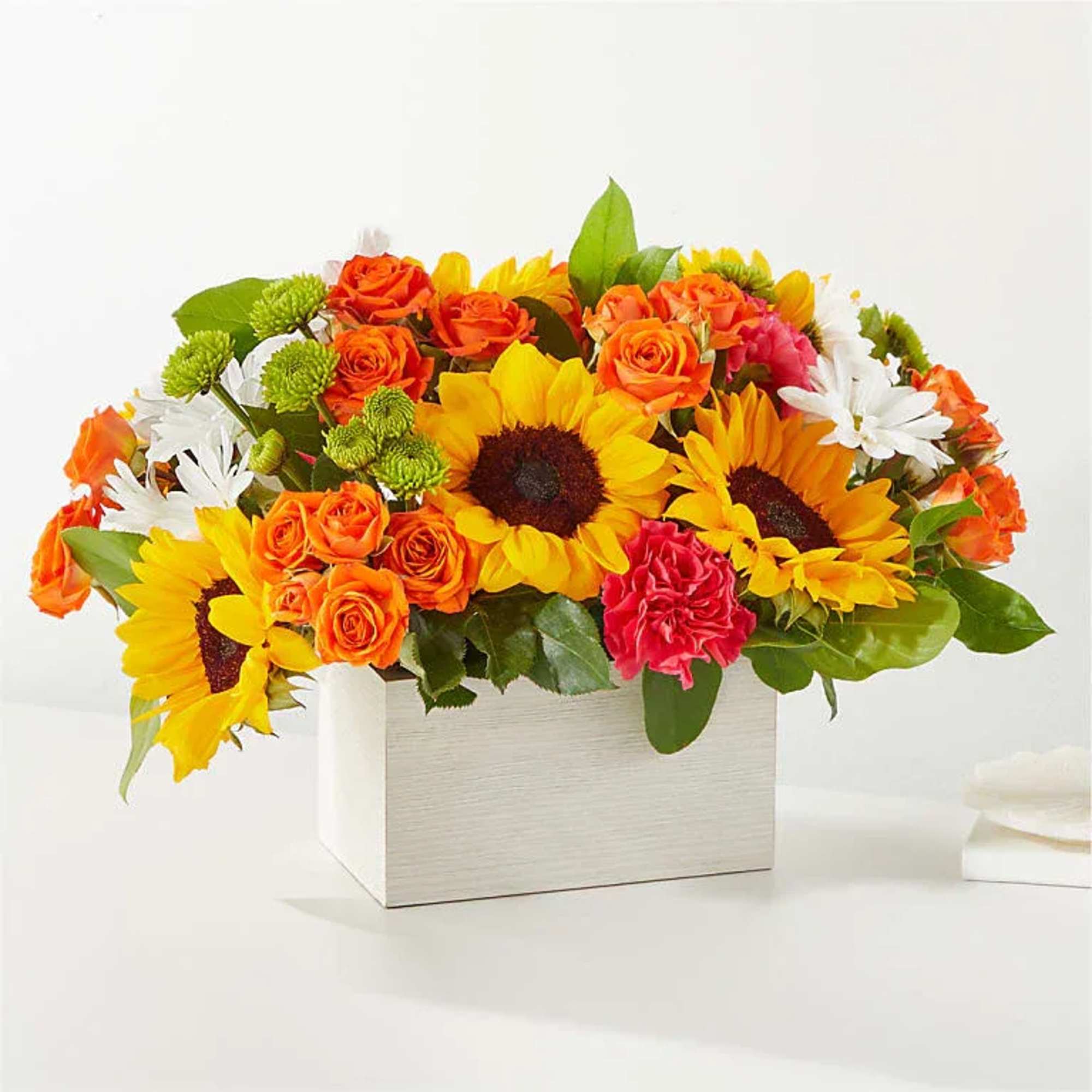 Feel the warmth radiating from these colorful stems, sure to put a