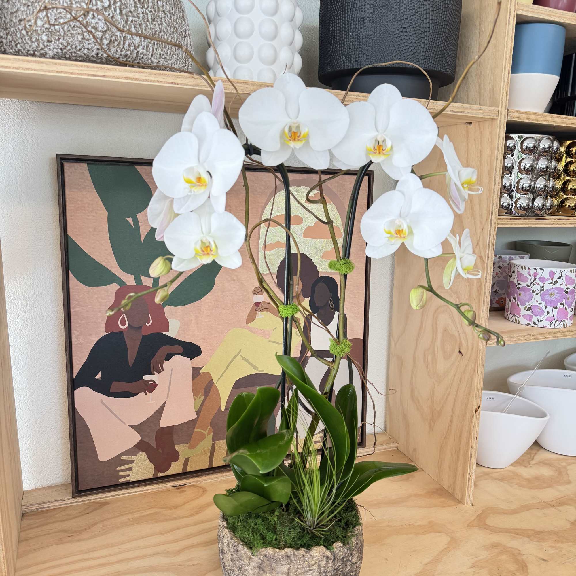 White orchid arrangement in a textured stone pot
