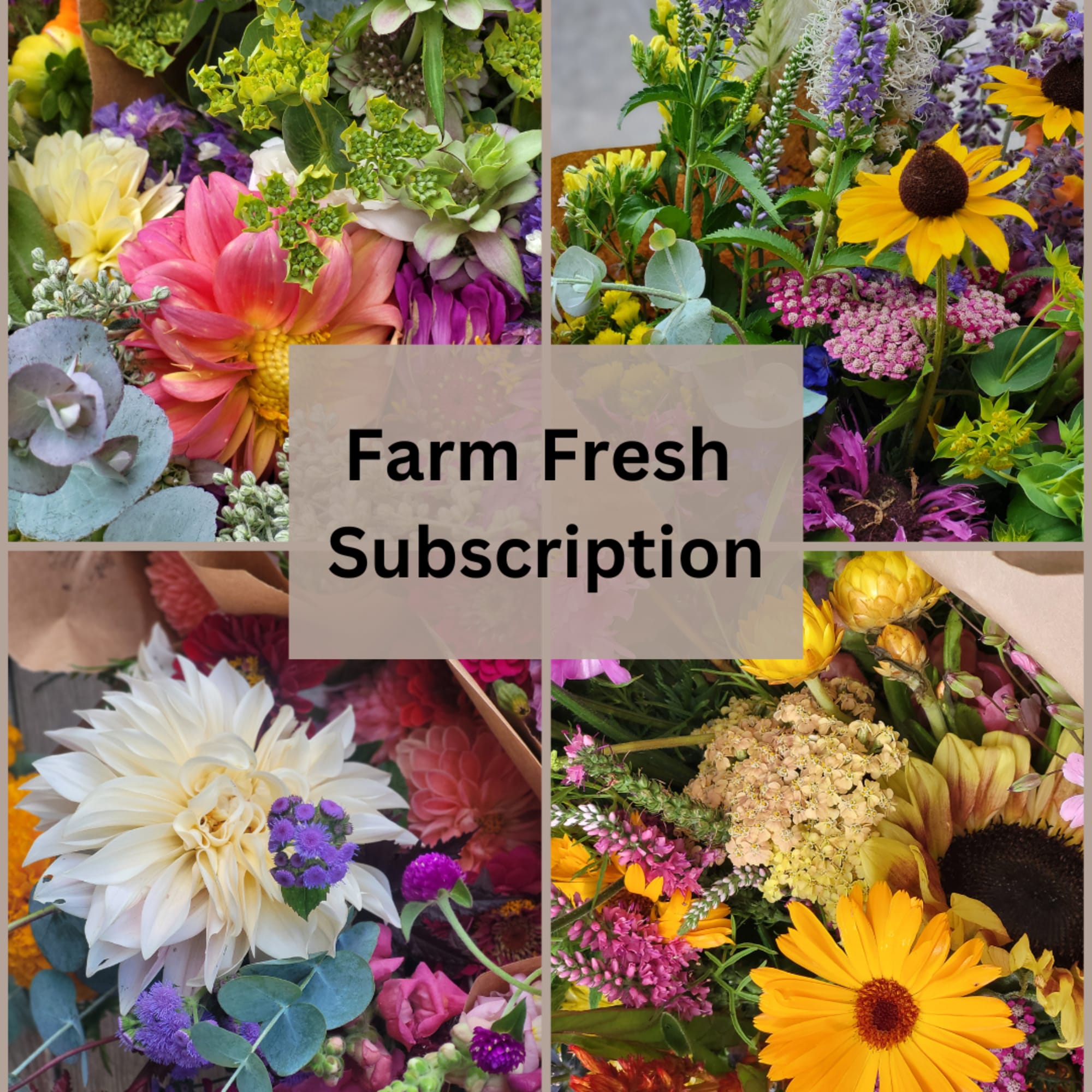 Collage of colorful mixed flower bouquets with "Farm Fresh Subscription" text