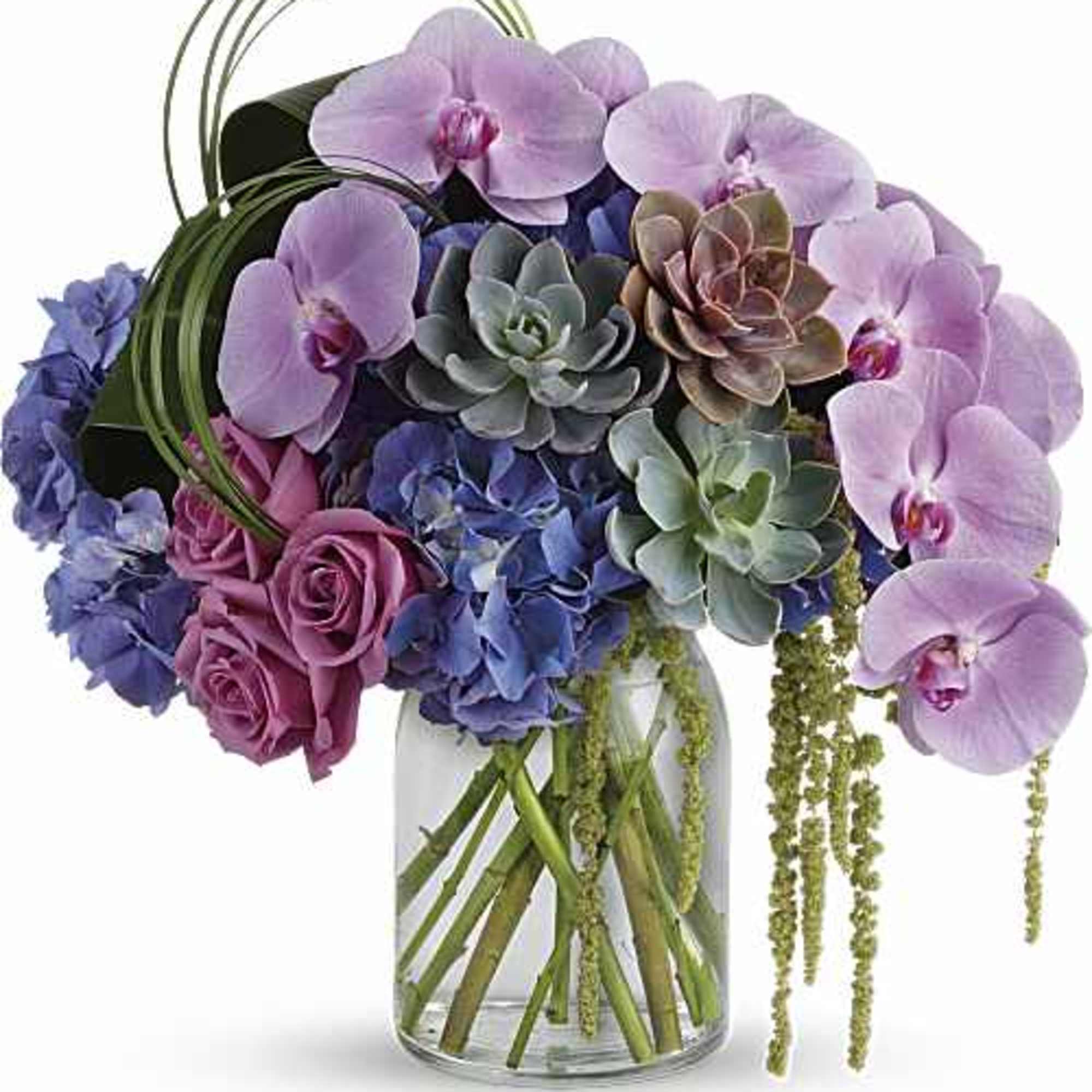 A beautiful arrangement in a vase containing a purple hydrangea, phalaenopsis orchid