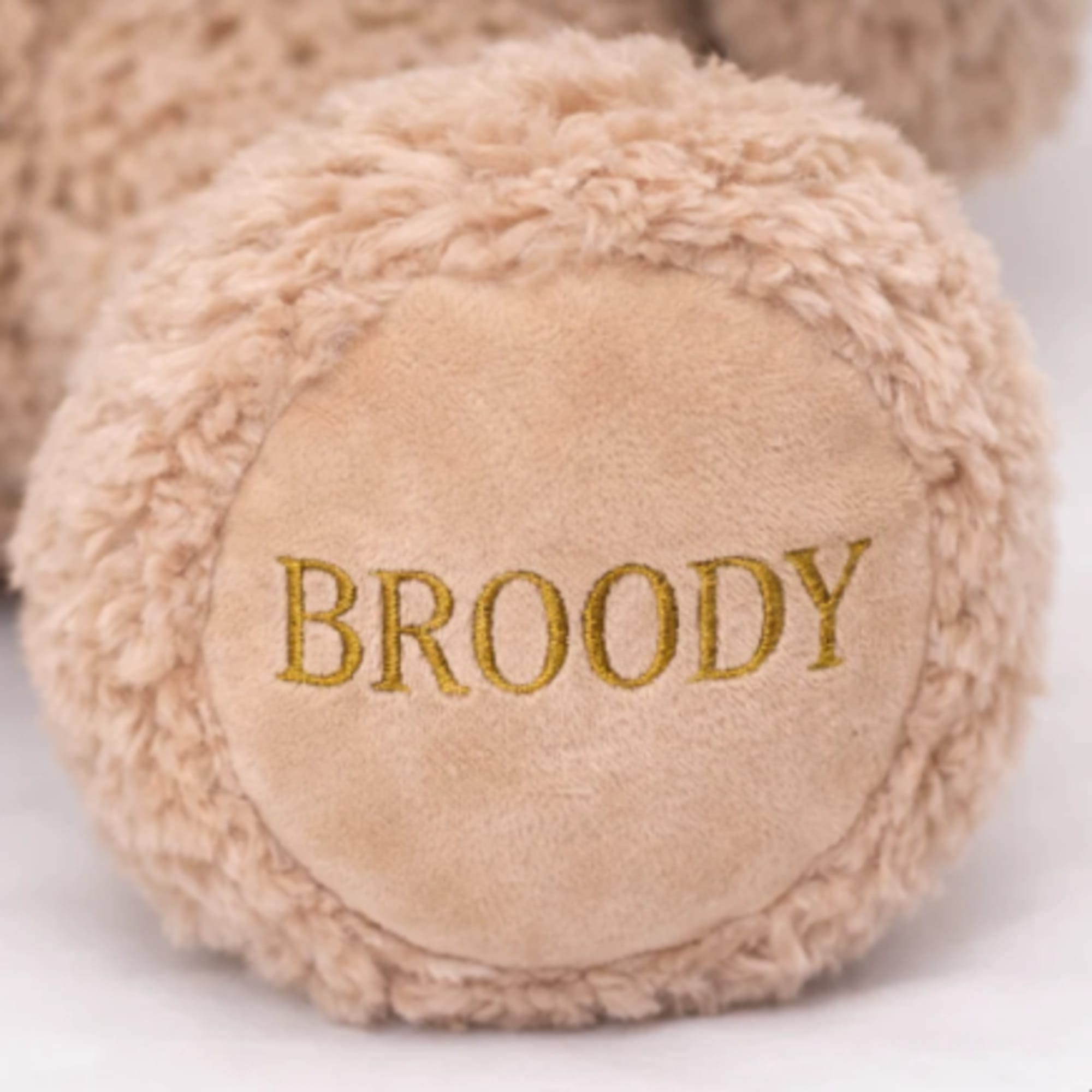 Meet Broody the Grumpy Bunny 
He&rsquo;s not here to smile&hellip; he&rsquo;s here