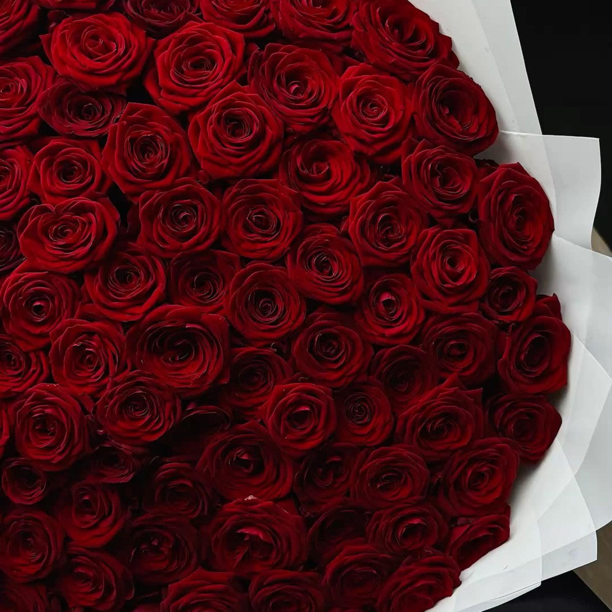 A stunning arrangement of 200 premium roses to celebrate graduation. Elegant, bold