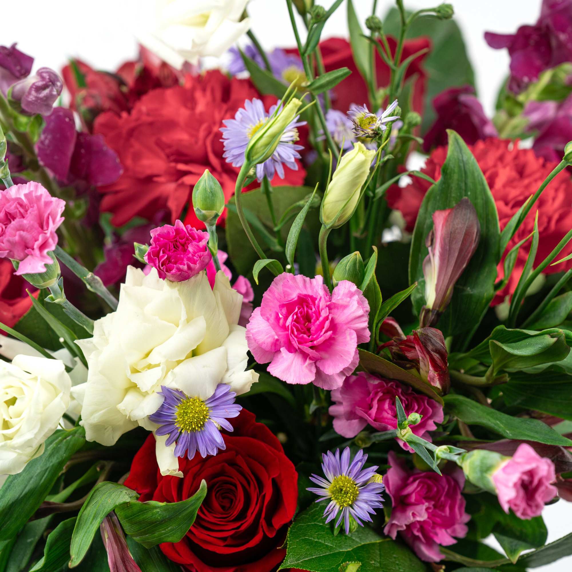 Mixed bouquet with red and white roses, pink carnations, and purple daisies