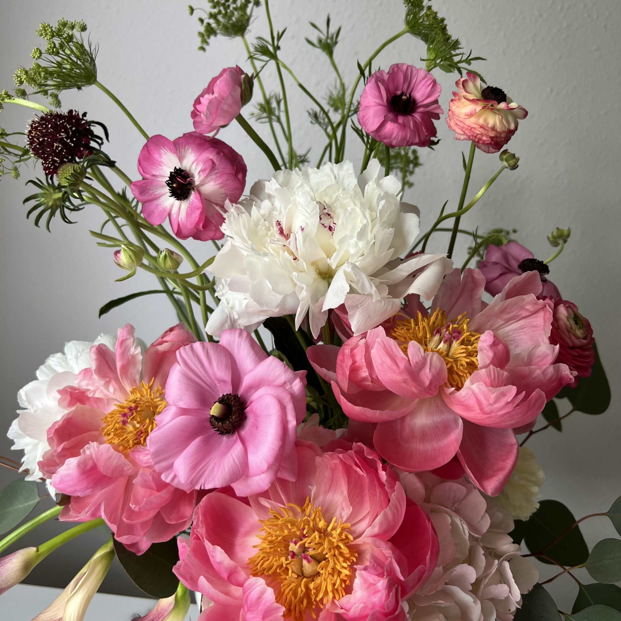 Soft, garden-fresh peonies set the tone for this Blush Muse bouquet -