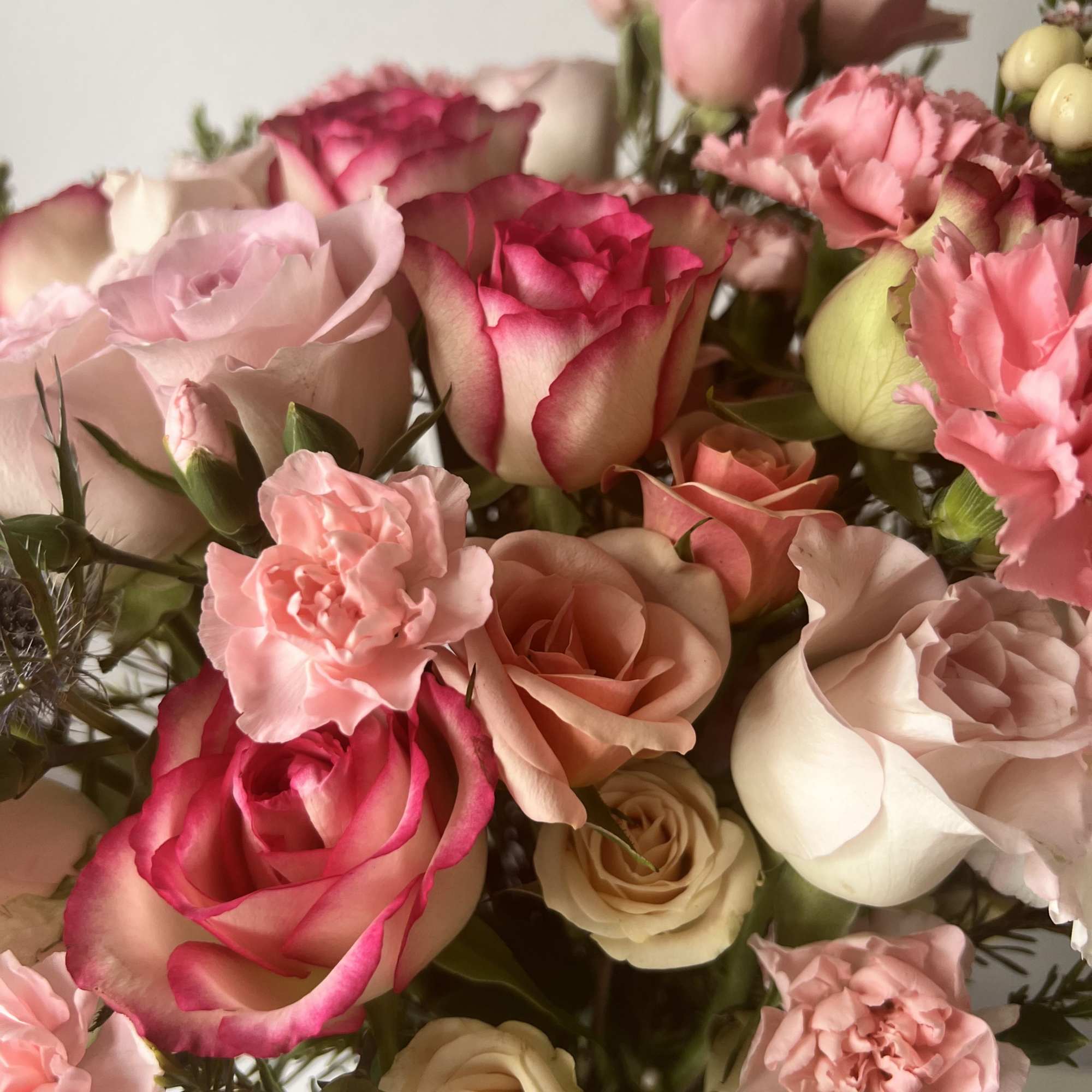 Soft blush and garden-petal pinks take center stage in this pink garden