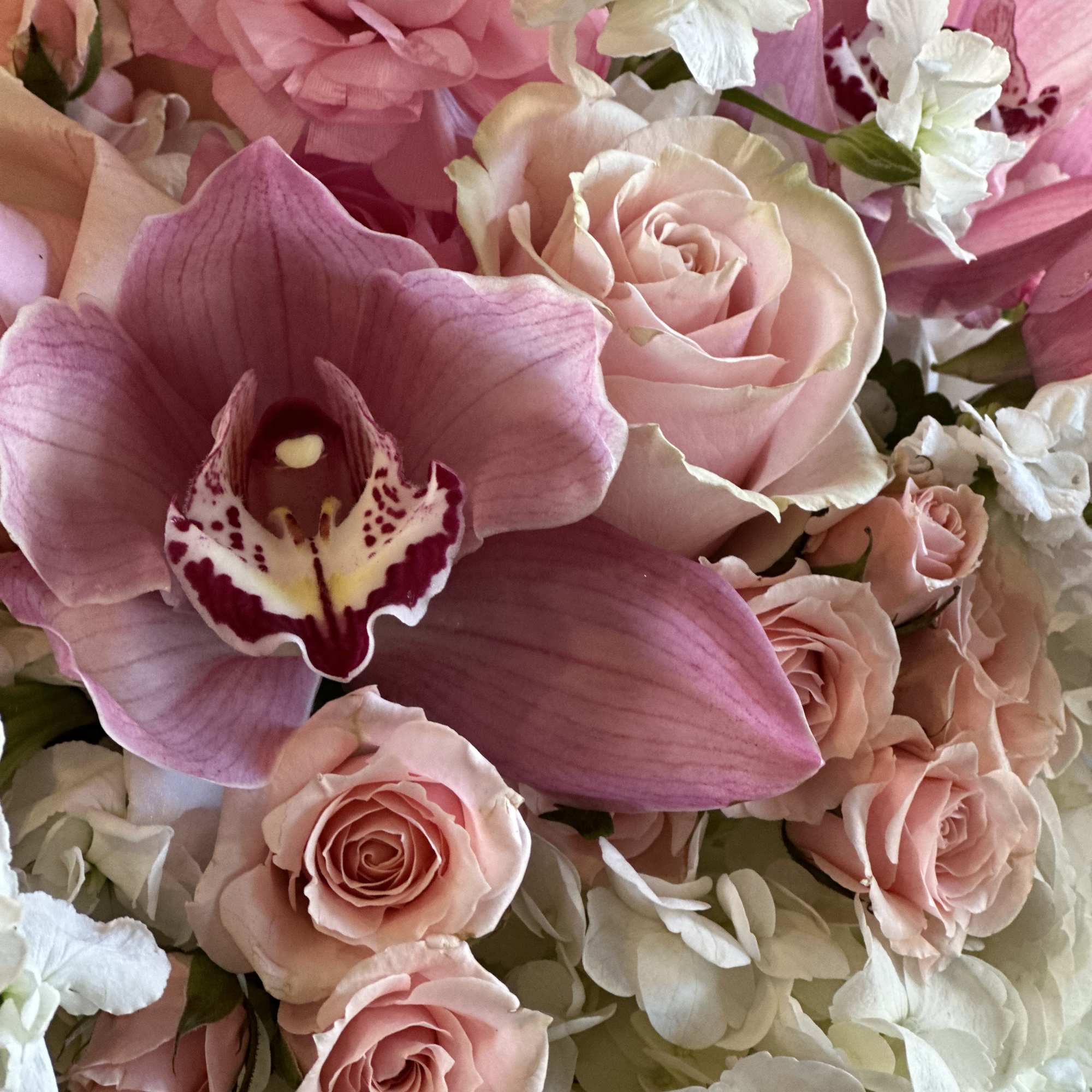 Pink orchids and roses with white hydrangeas in a close bouquet
