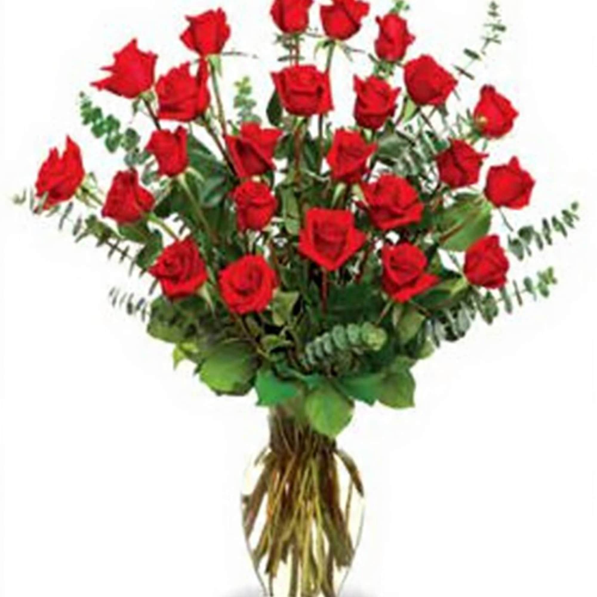  Pet Friendly?
Yes
But Use Caution &mdash; Red Roses are generally non-toxic, but