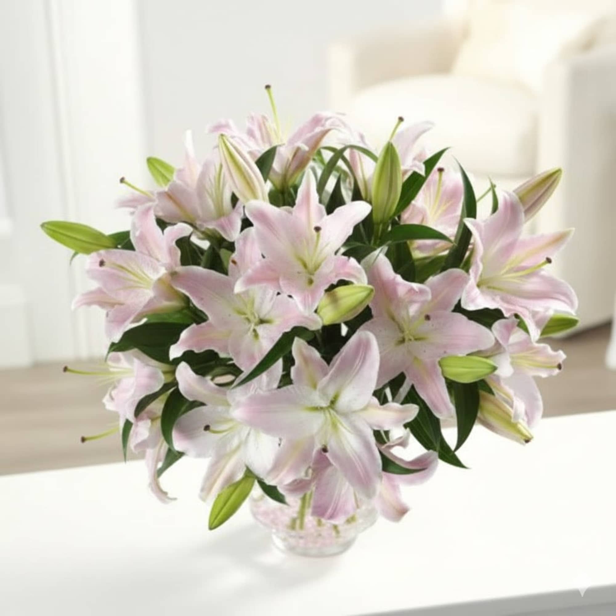  Pet Friendly?
No
Lilies are extremely toxic to cats and unsafe for curious