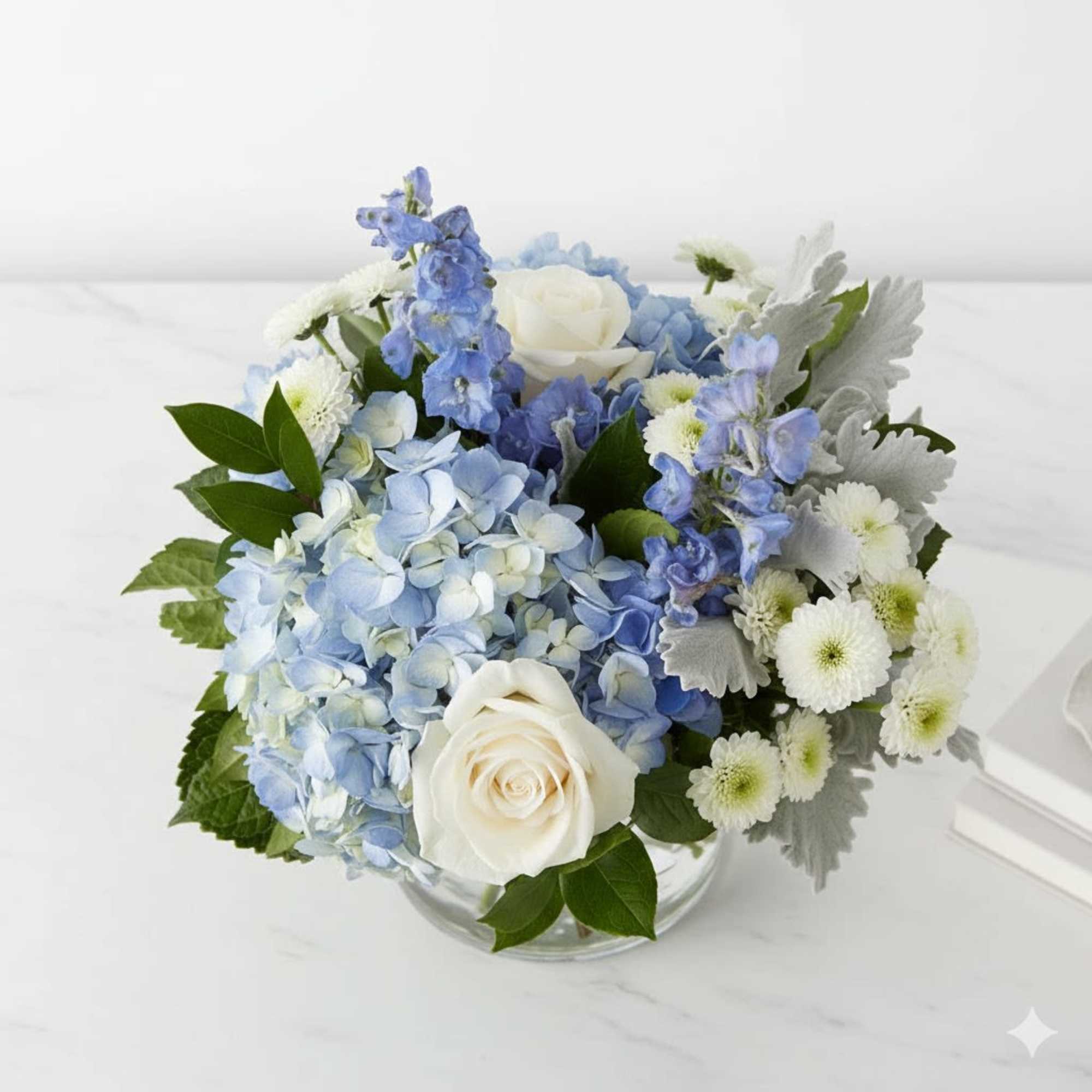  Pet Friendly?
No . Delphinium can be toxic to cats and dogs.