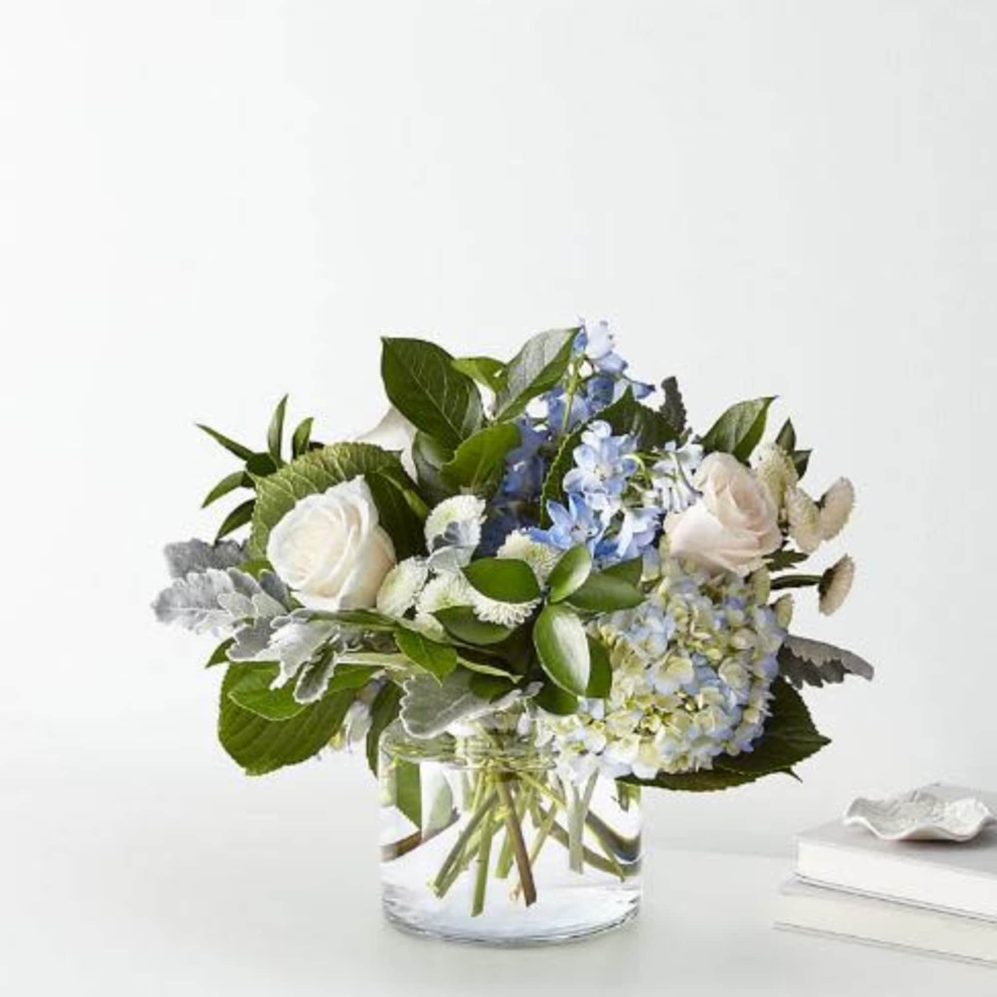  Pet Friendly?
No . Delphinium can be toxic to cats and dogs.
