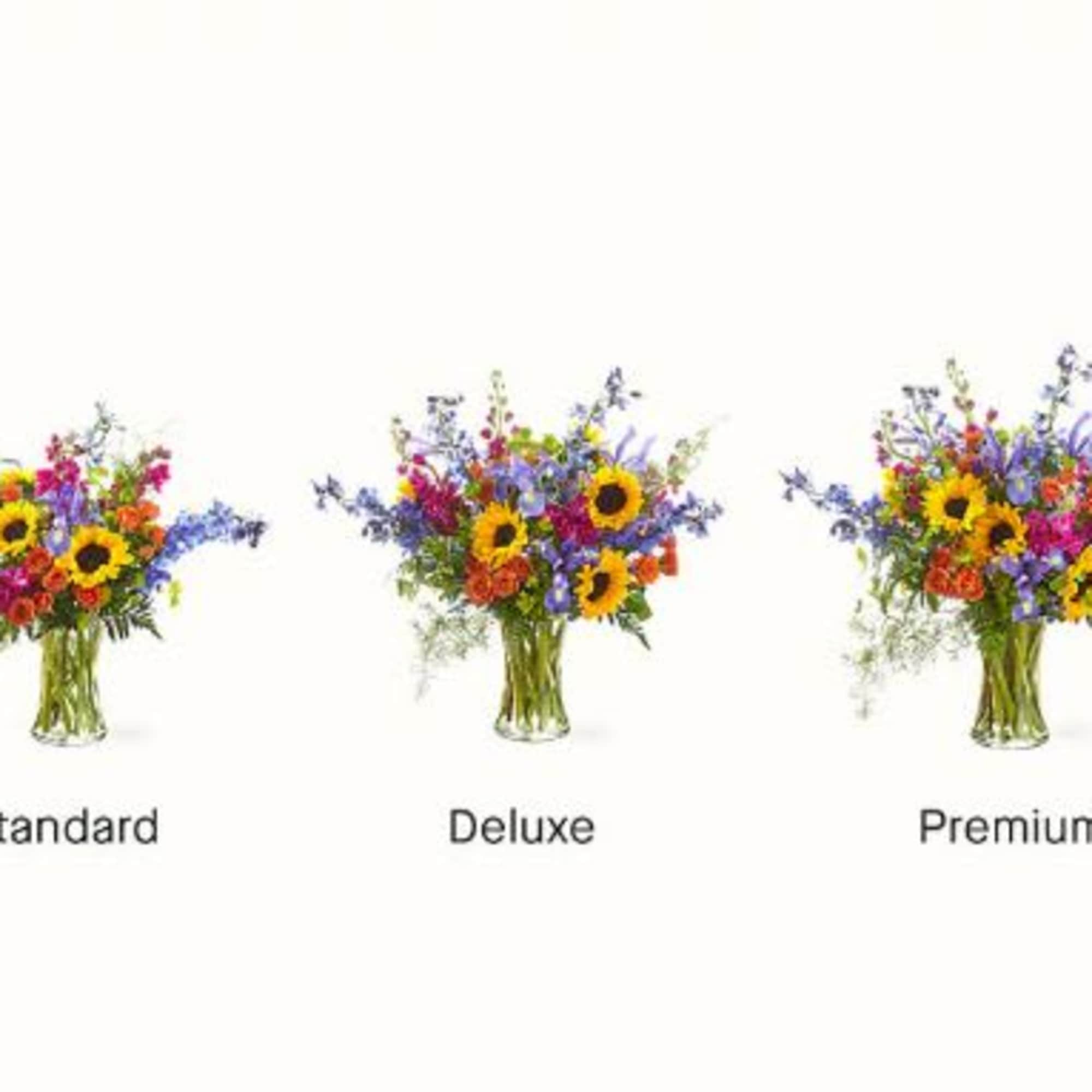  Pet Friendly?
NO
Use Caution &mdash; contains Delphinium, which can be toxic to