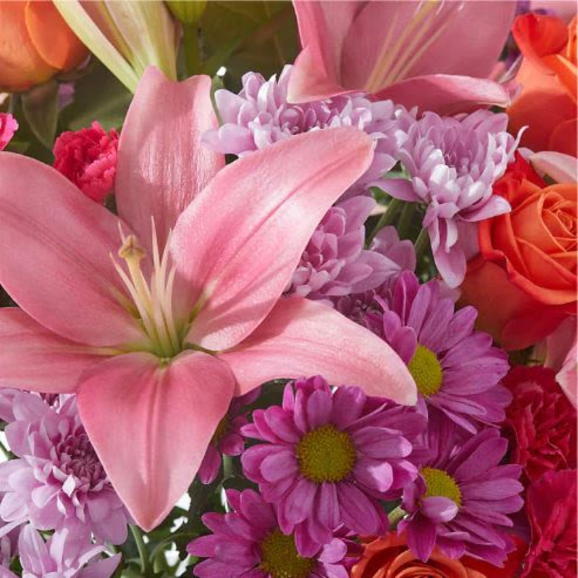  Pet Friendly?
No &mdash; contains lilies. Keep out of reach; avoid homes