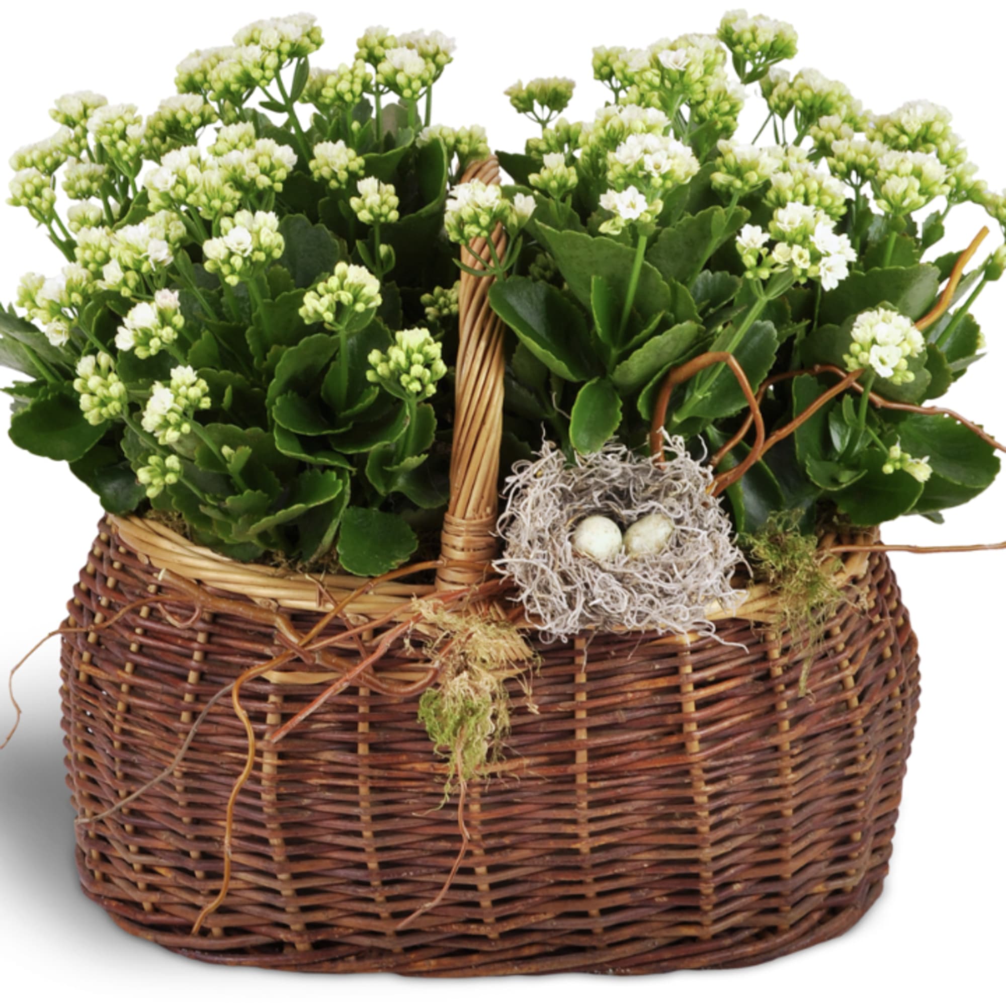 The baskets we have are white and we like to make a