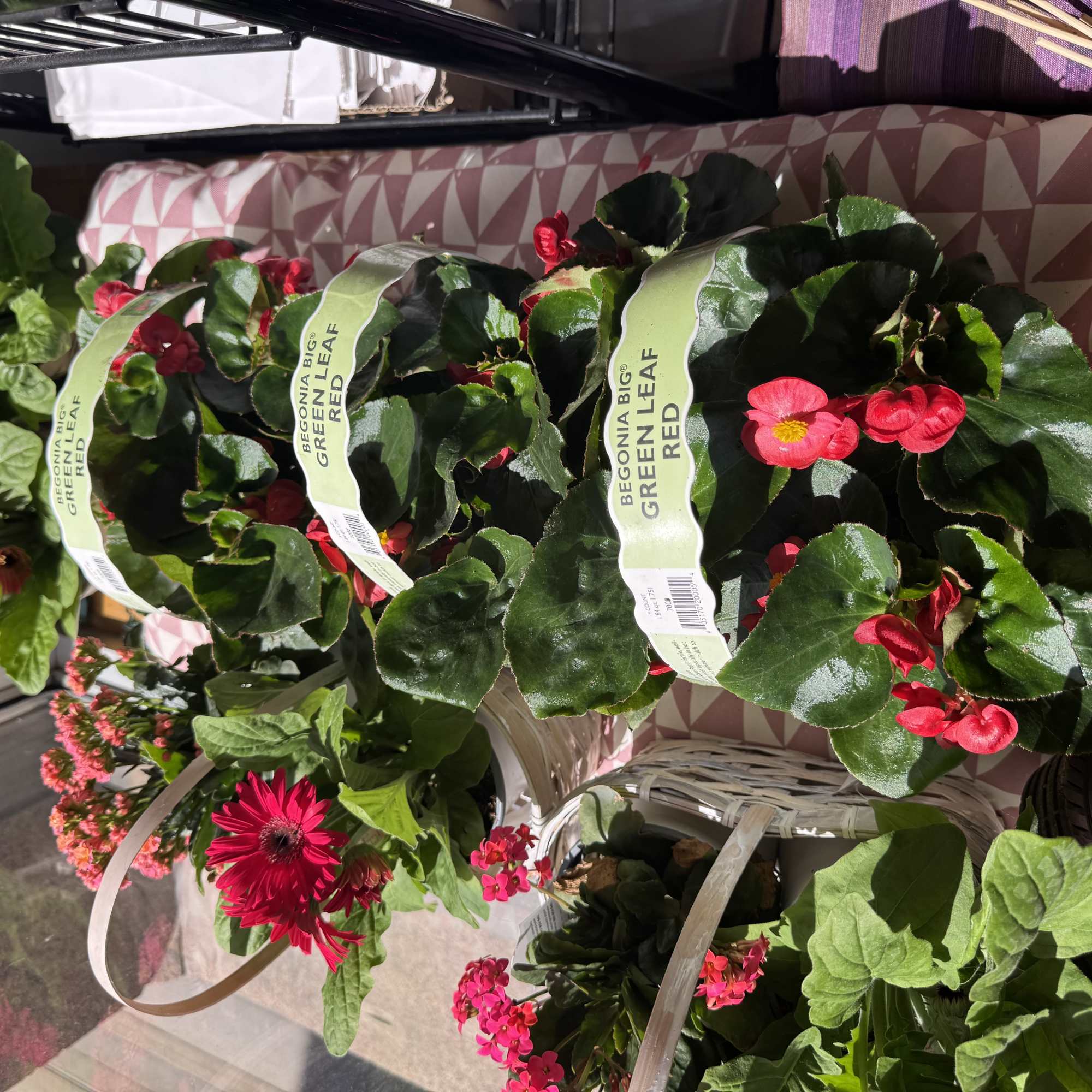 The baskets we have are white and we like to make a