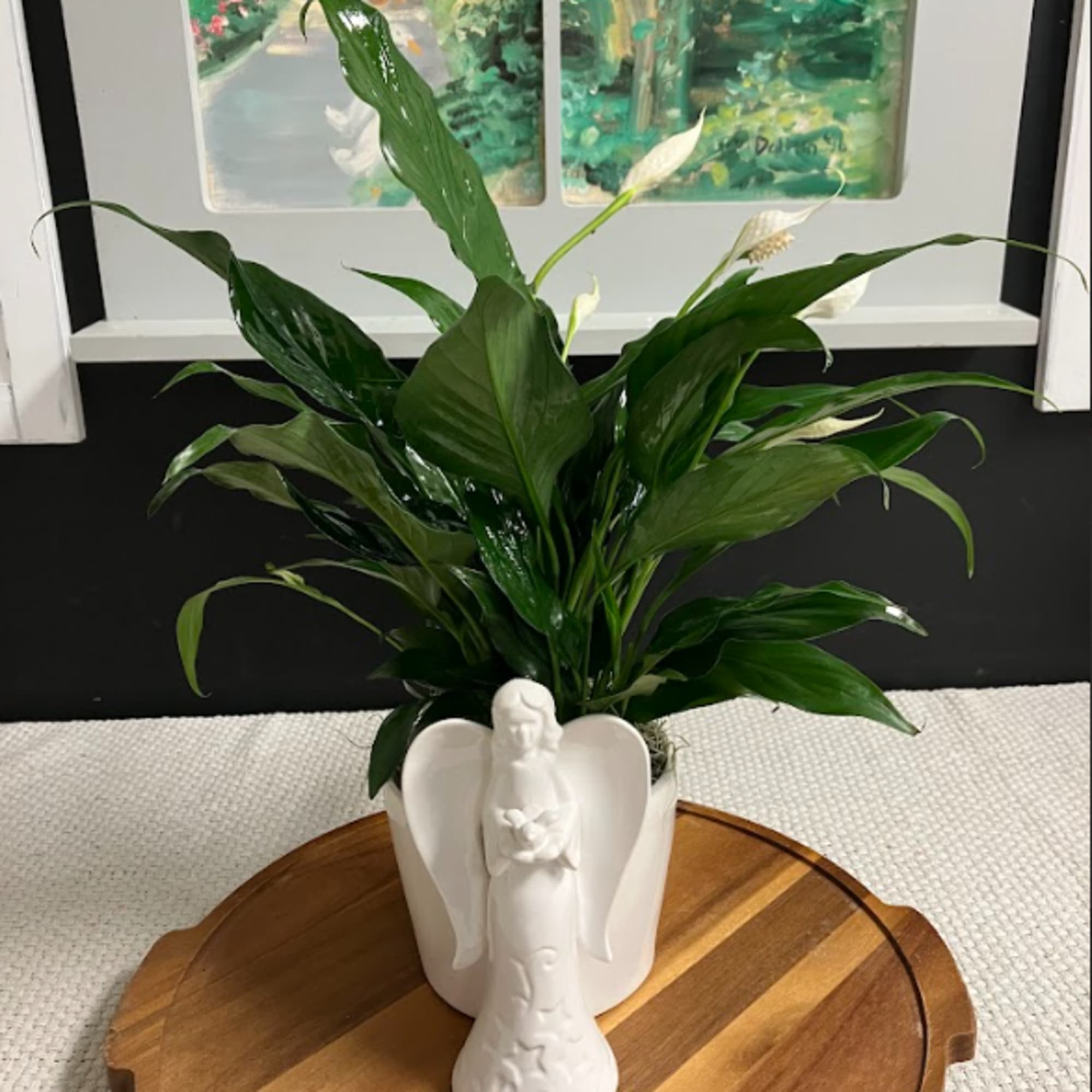 Potted peace lily in a white angel-shaped planter