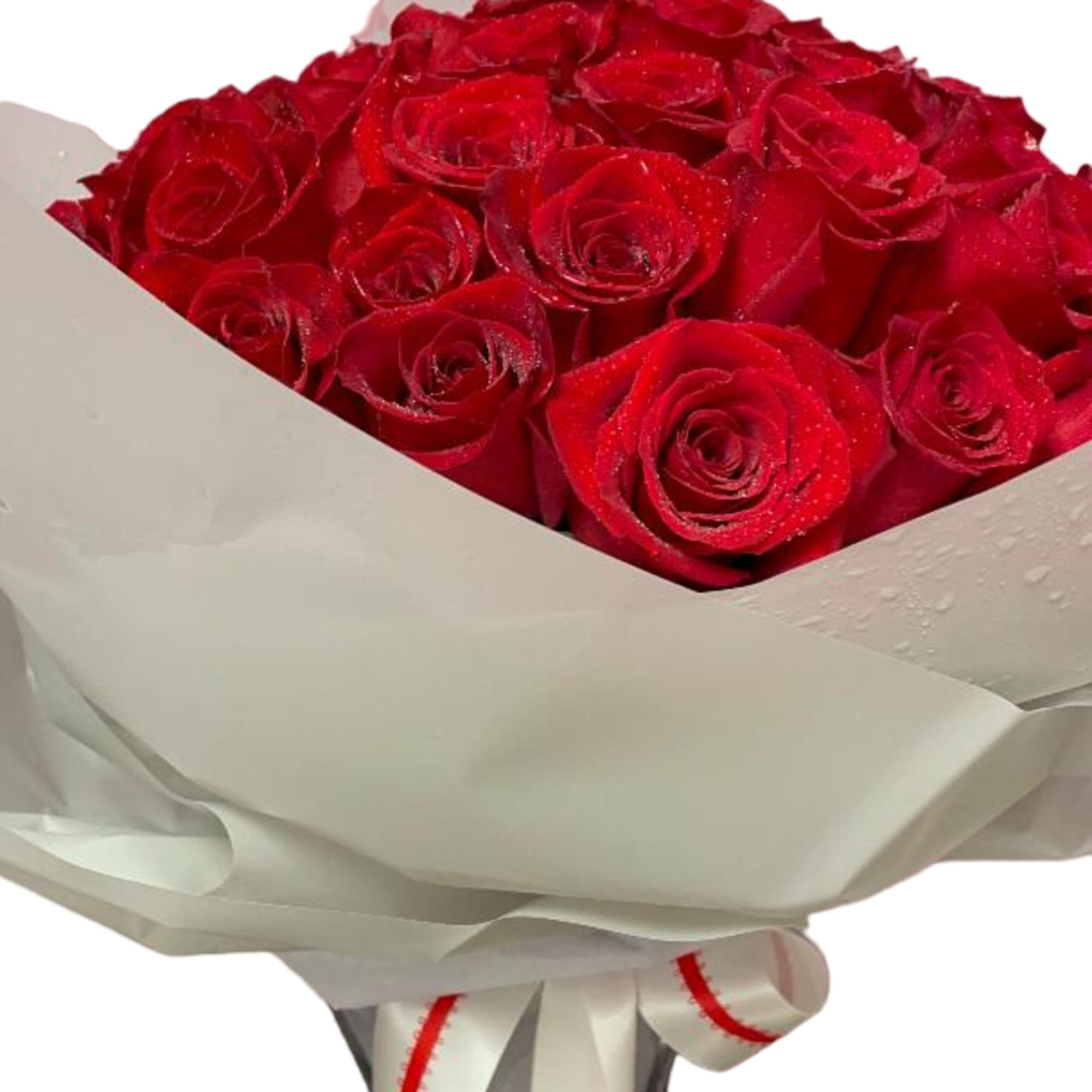 Bouquet of red roses wrapped in white paper with a ribbon
