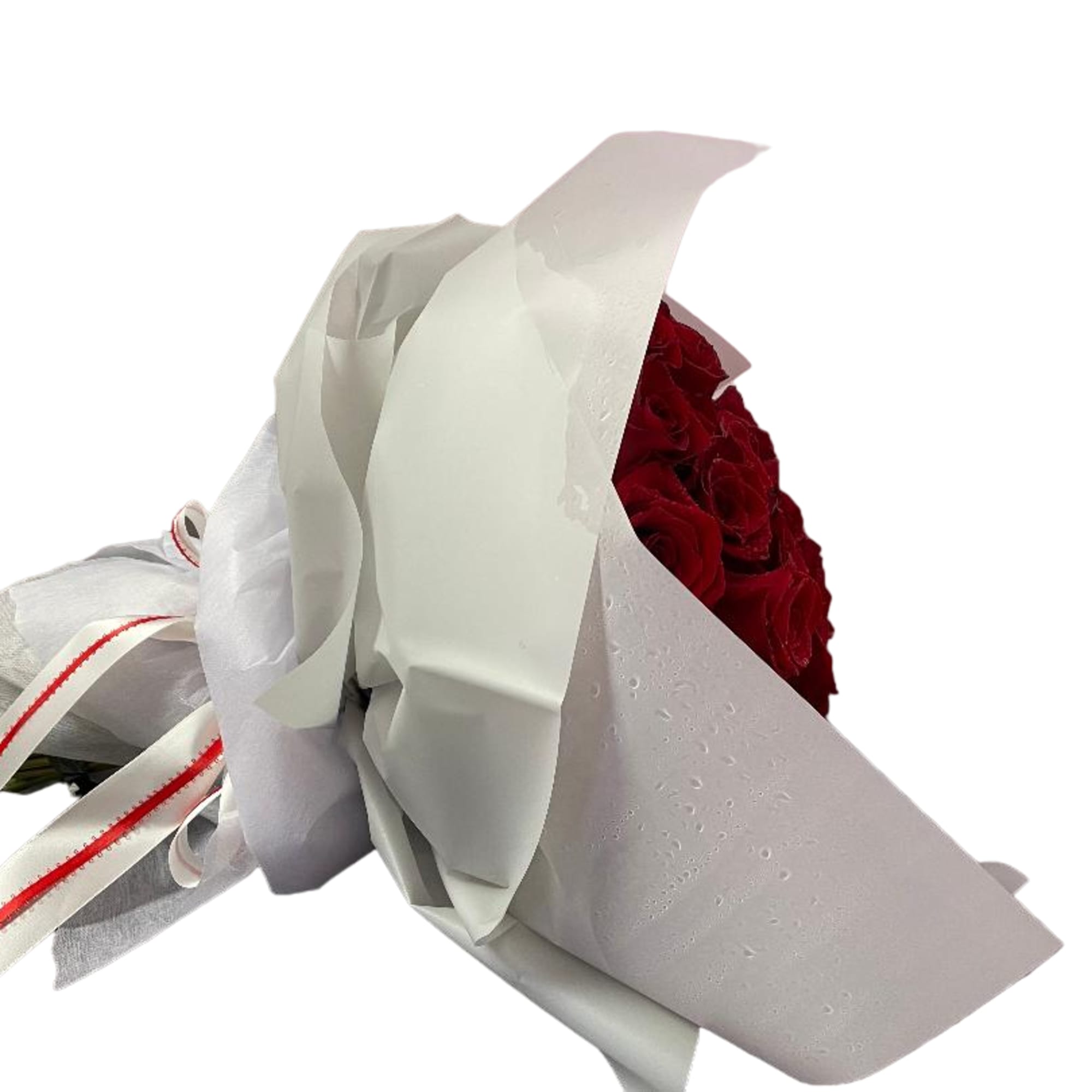 Bouquet of red roses wrapped in white paper with ribbon