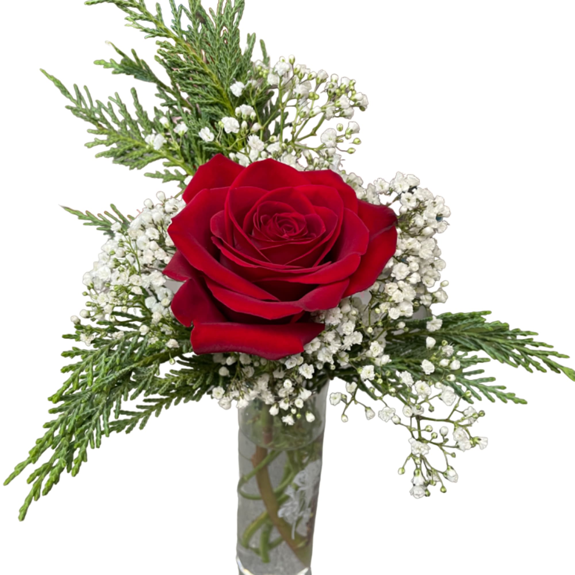 Red rose in a clear glass vase with white baby's breath