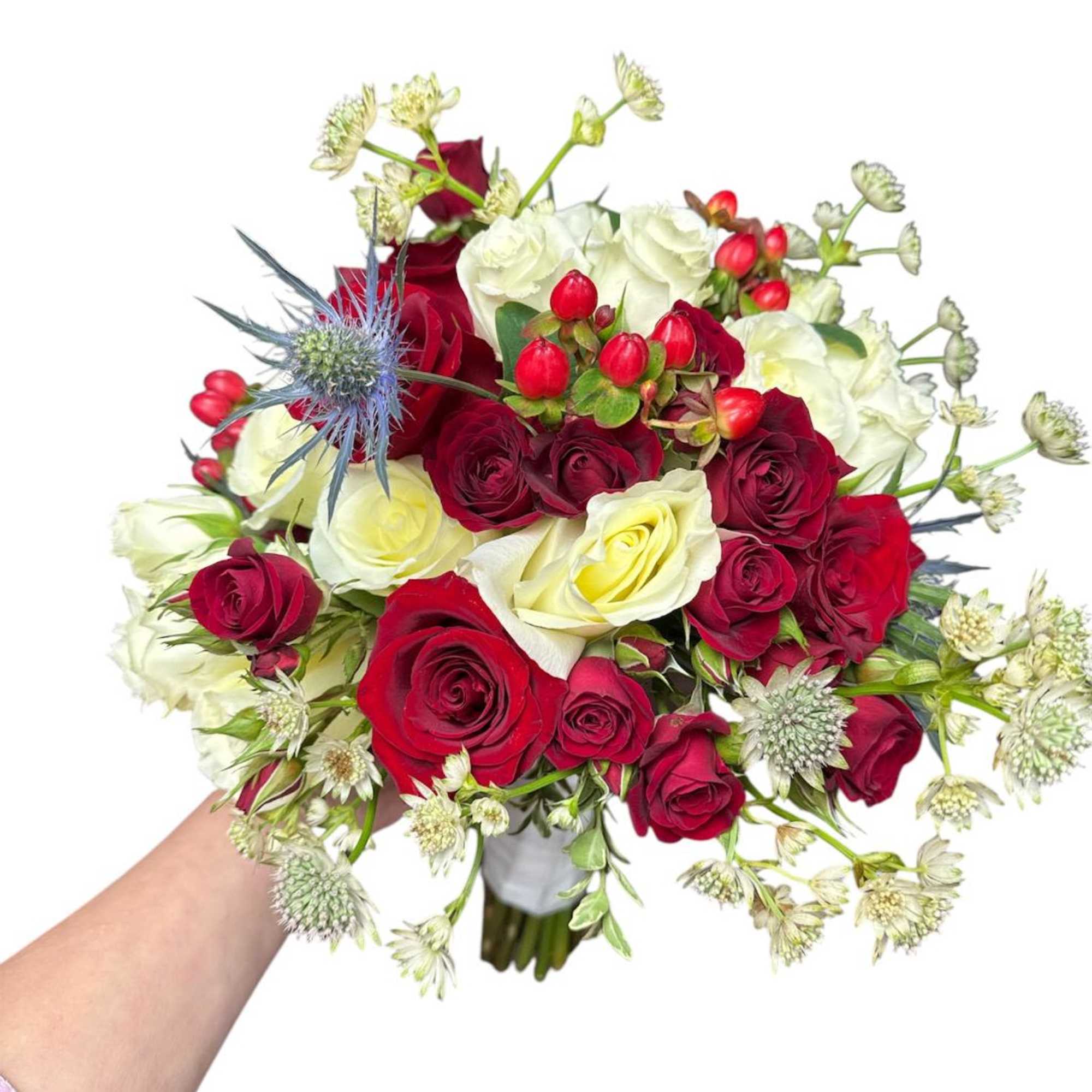 Handheld bouquet of red and white roses with blue thistle accents