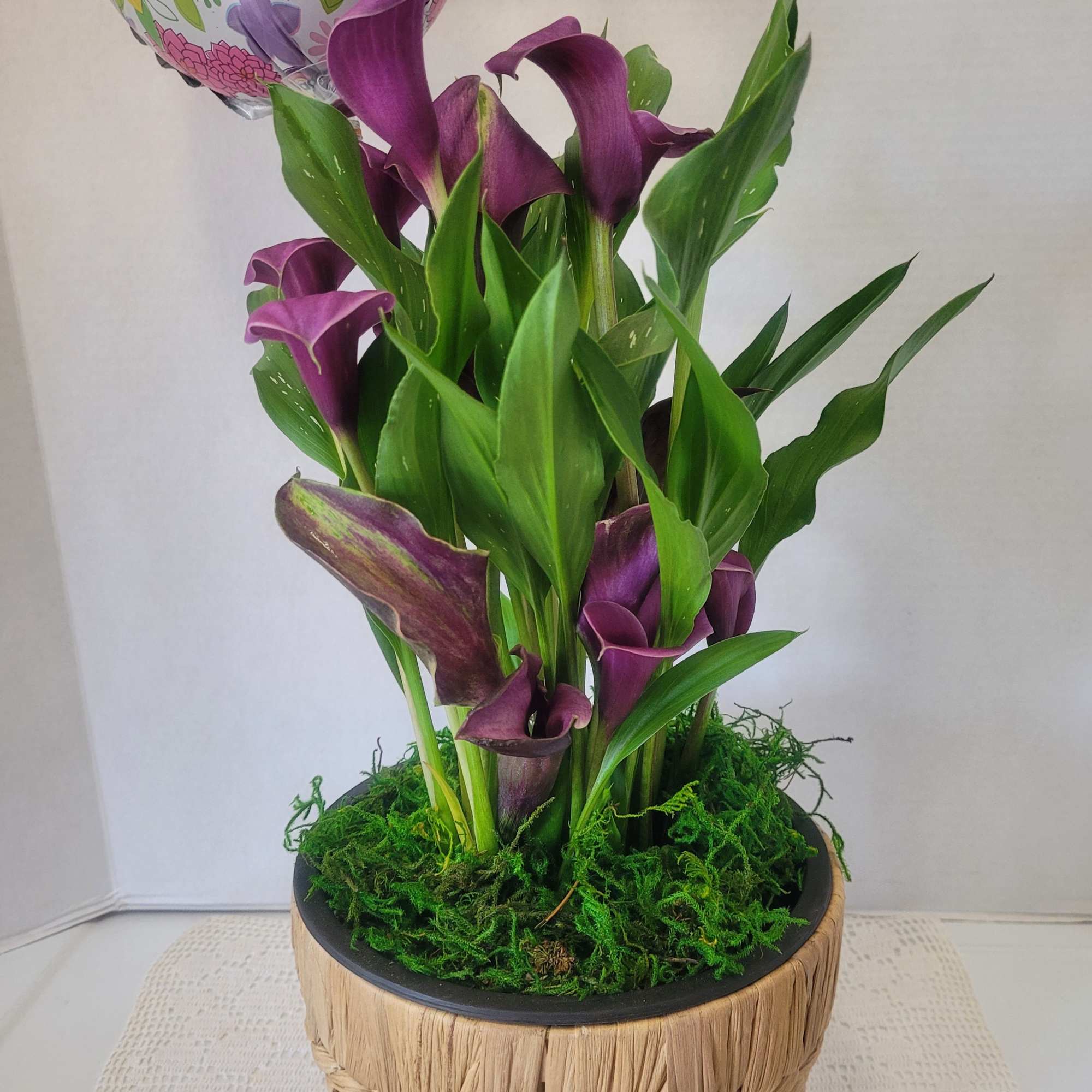This striking Calla Lily will be a beautiful addition to any decor.
