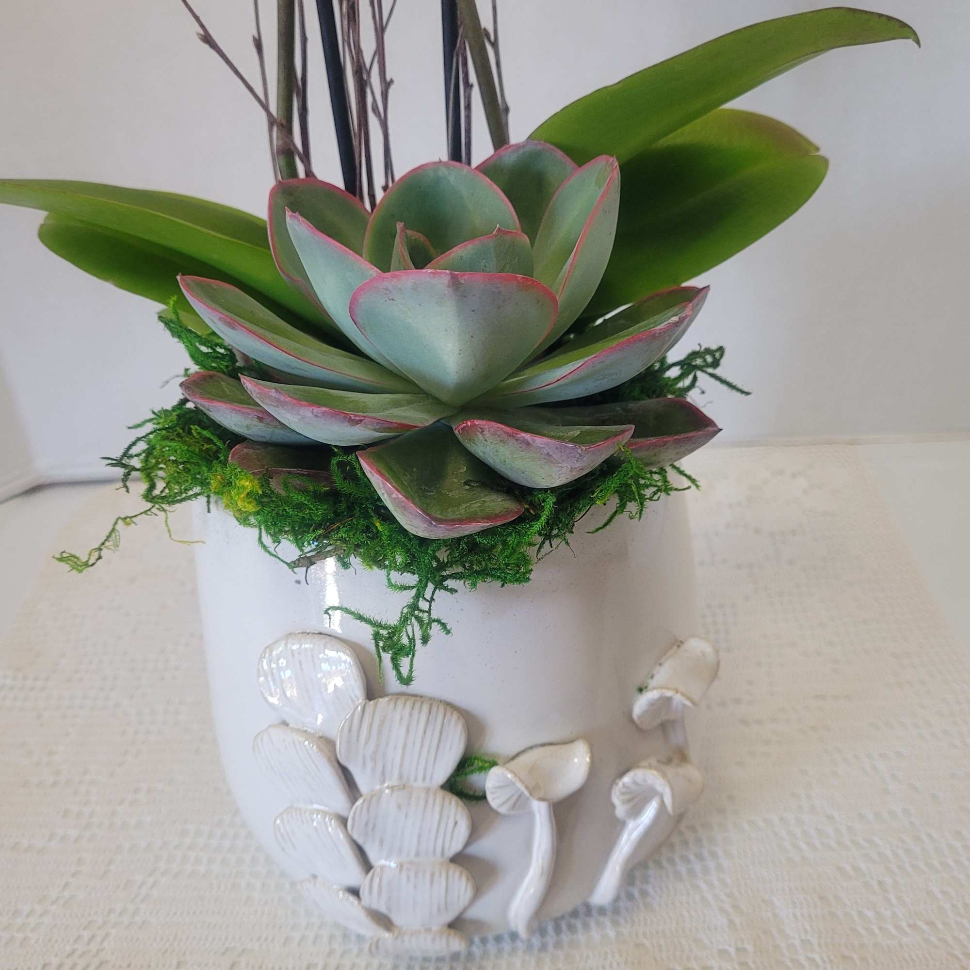 A beautiful Phalaenopsis Orchid that's meant to "wow" anyone. It is an