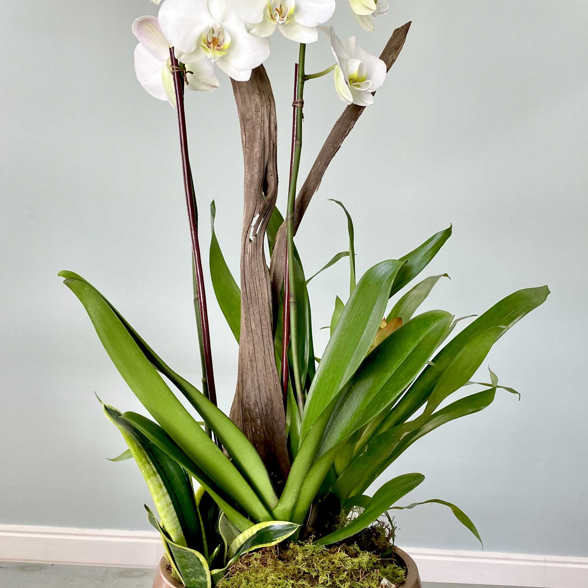 White orchids in a copper bowl planter with moss and wood accents