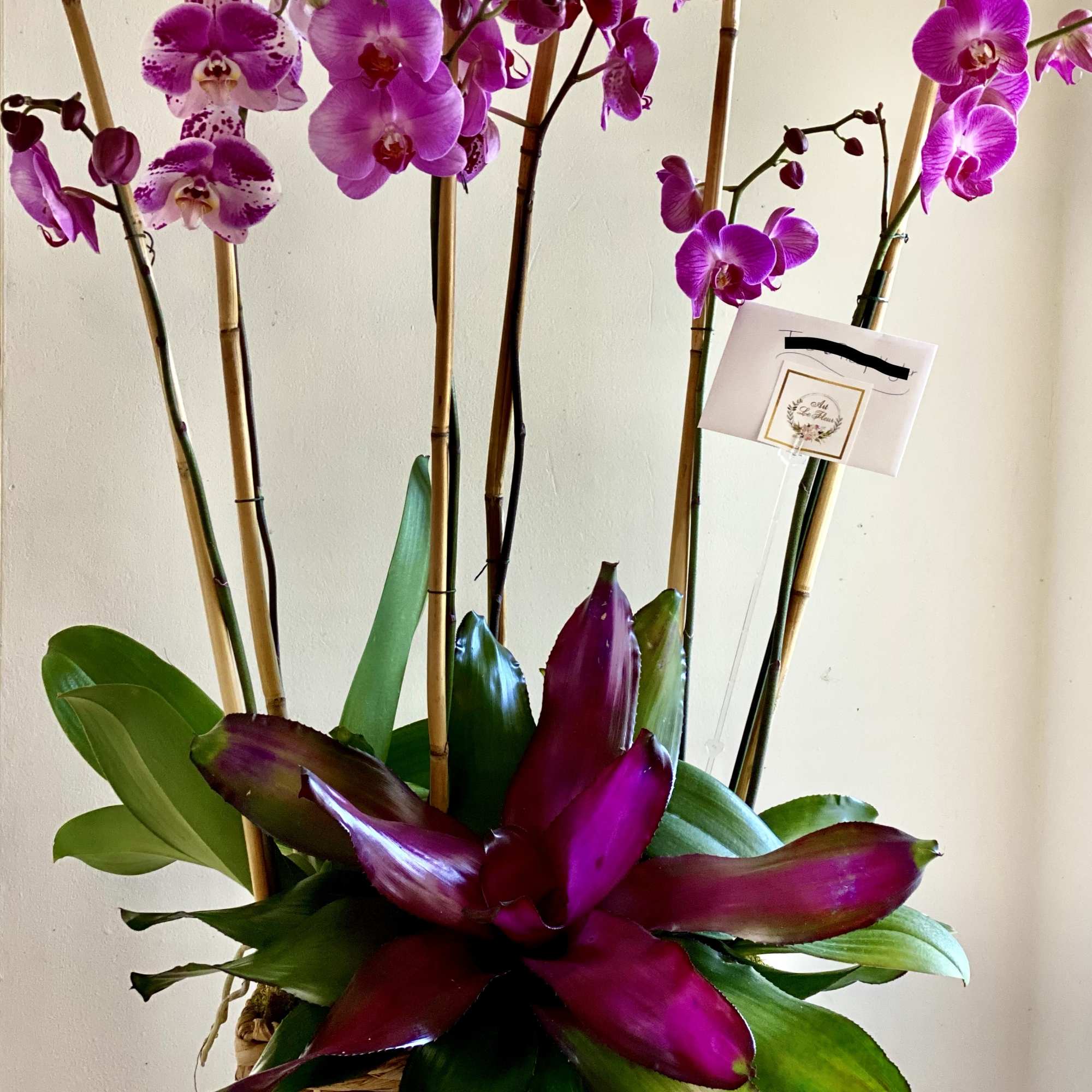 Pink orchids in a woven basket with broad burgundy and green leaves