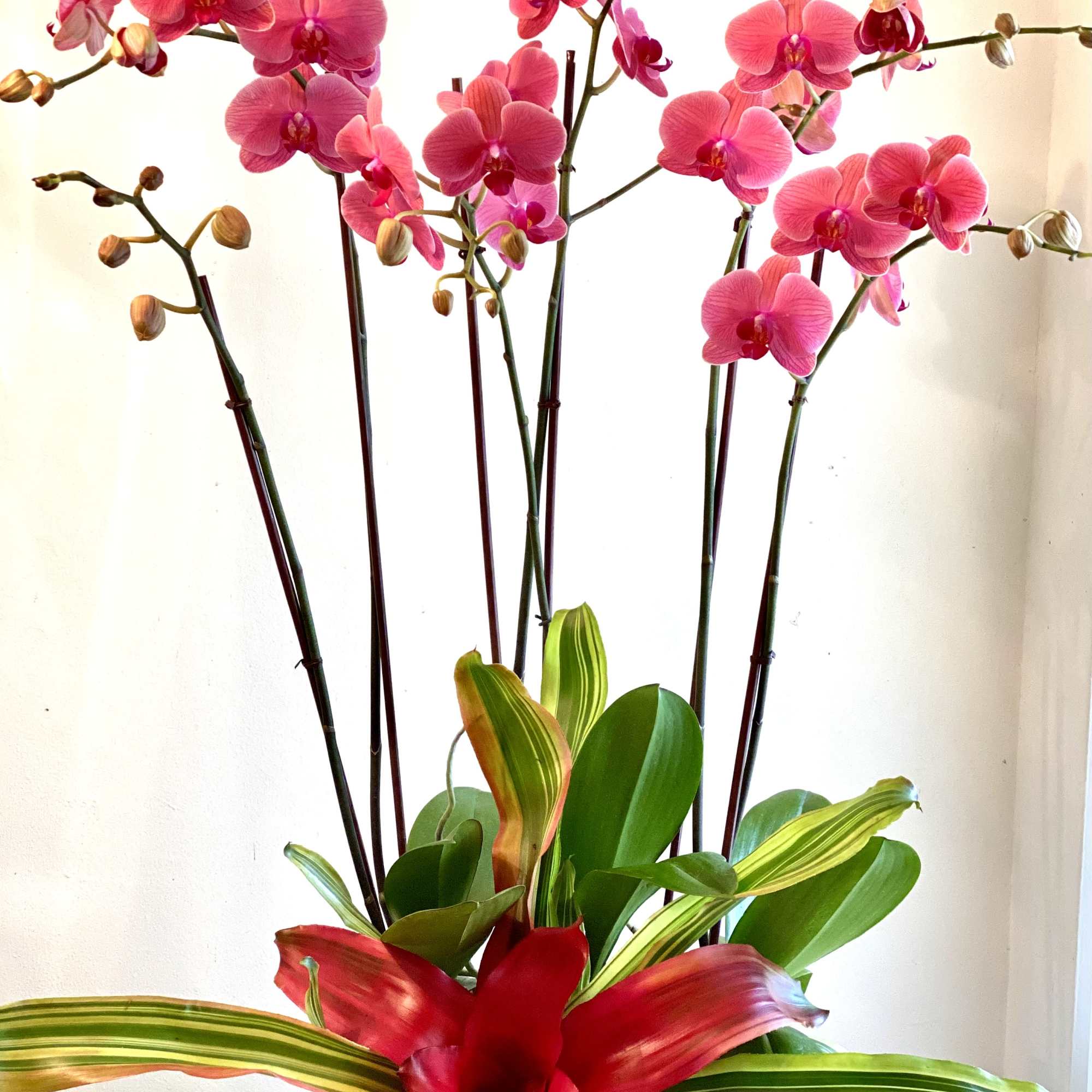 Pink orchids arranged in a basket with broad tropical leaves