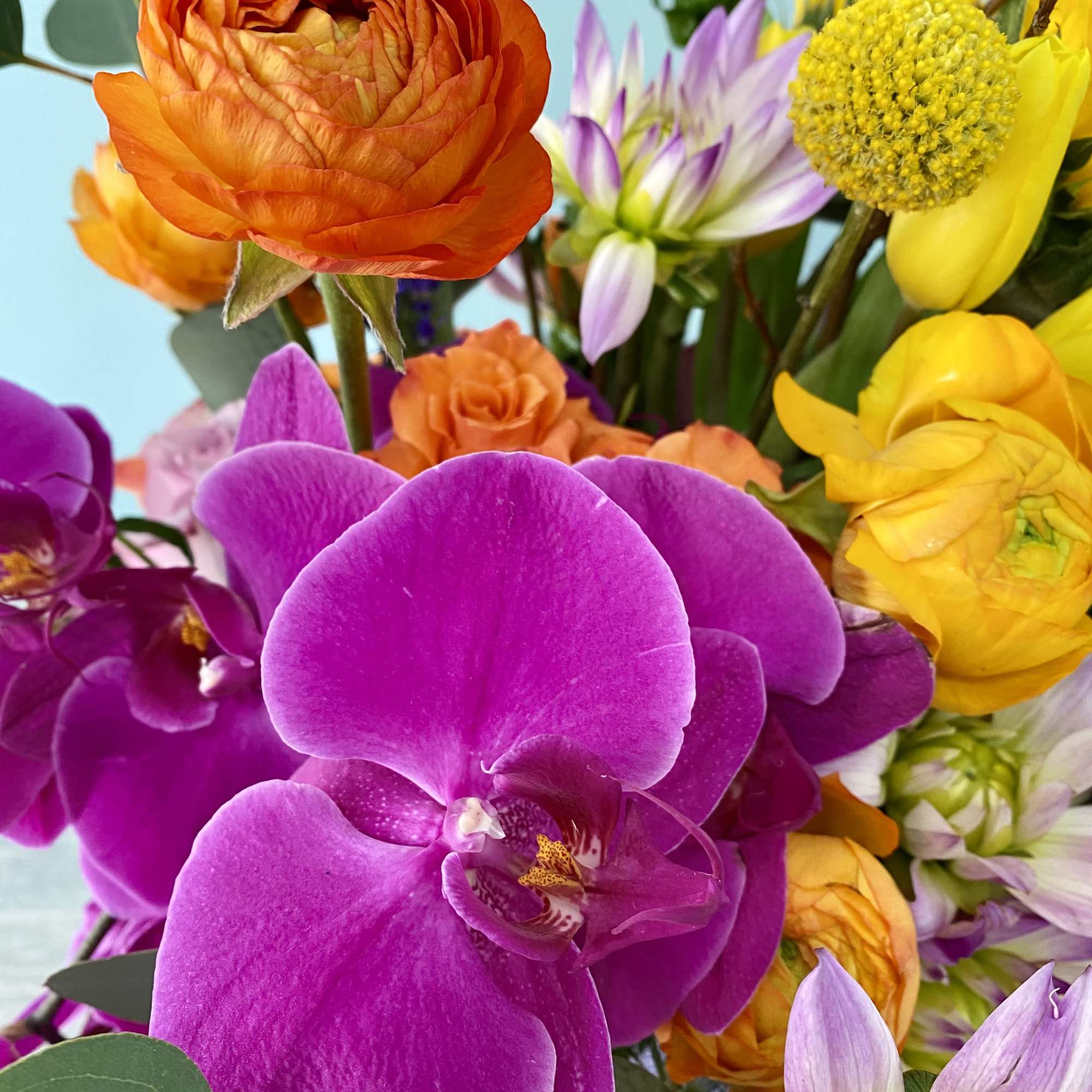 Bright bouquet with purple orchids, orange ranunculus, and yellow blooms