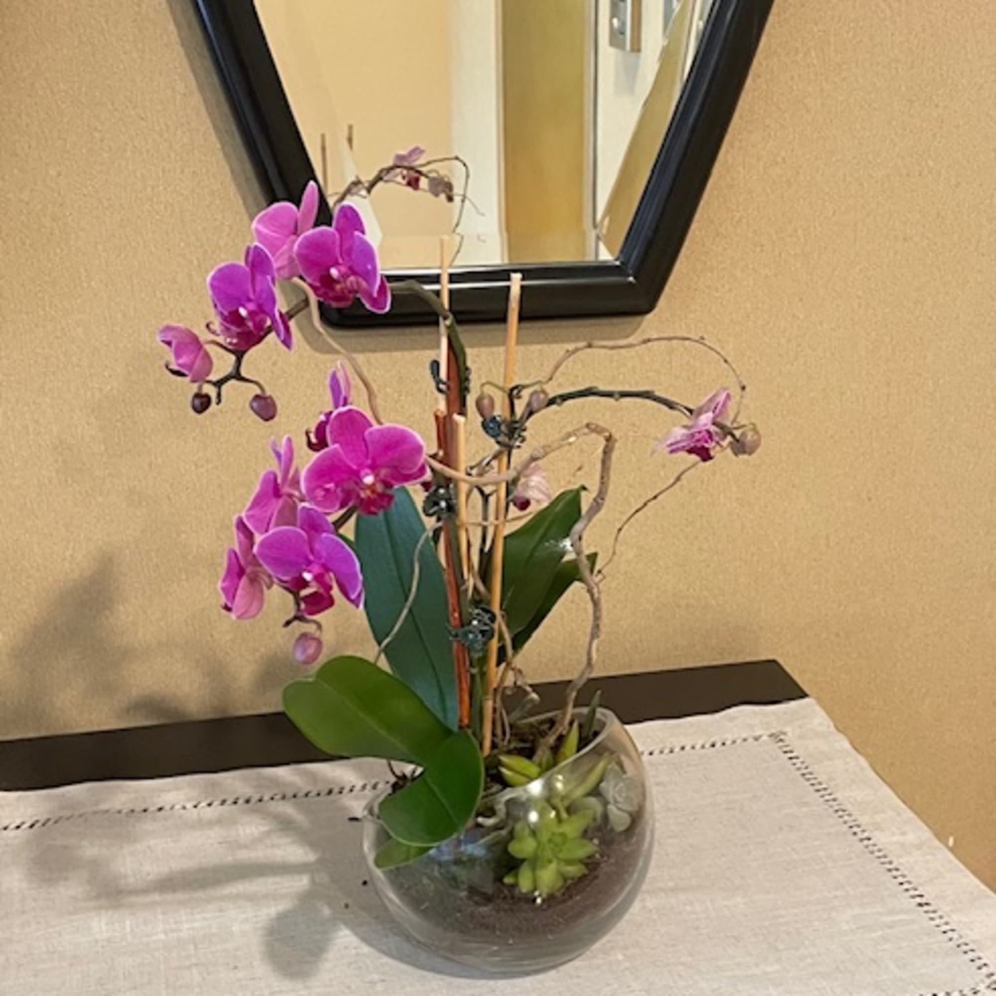 Orchid with succulent Beauty plant in a bevel glass bowl vase. 
