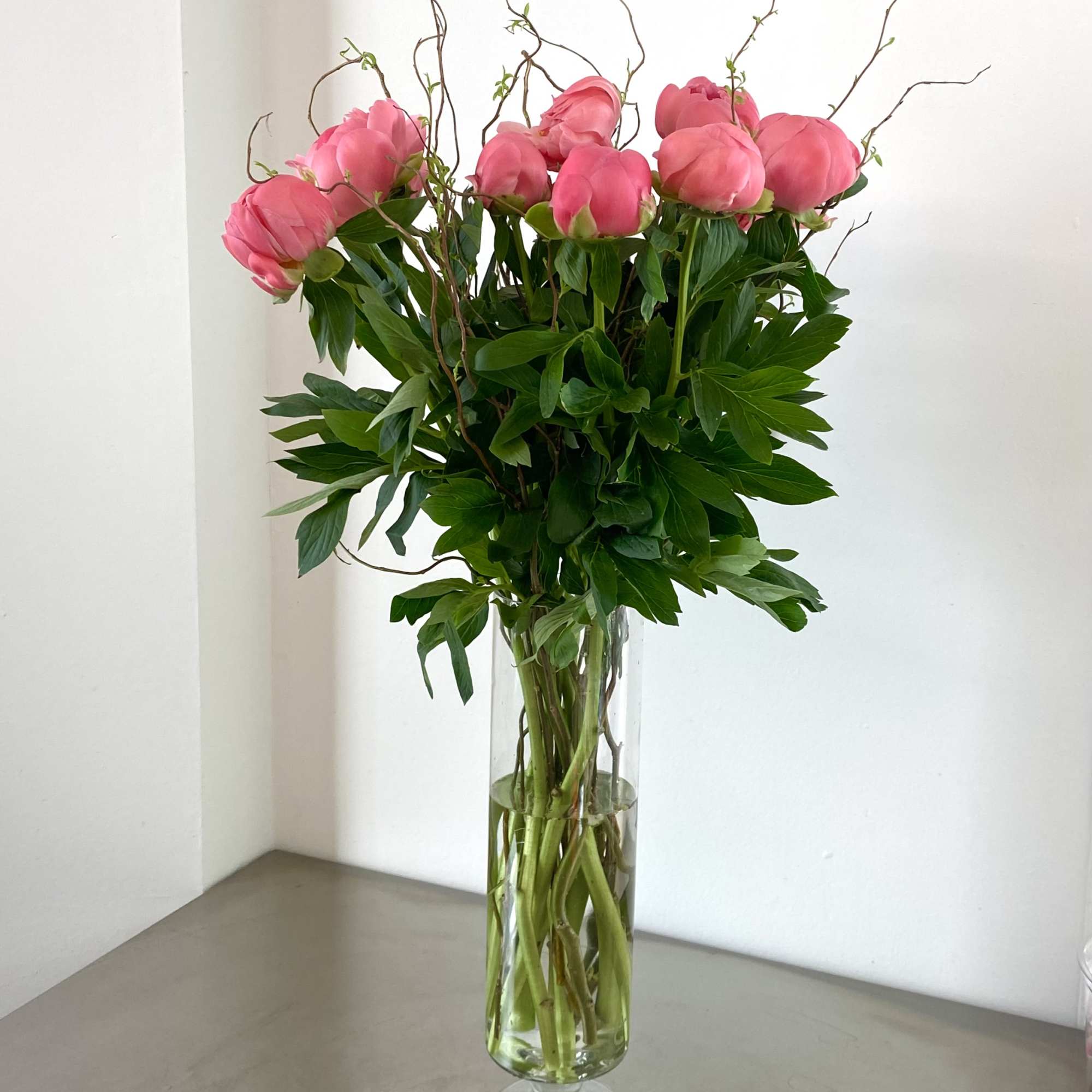 32&rdquo; tall arrangement with coral peonies and curly willow in 
footed 