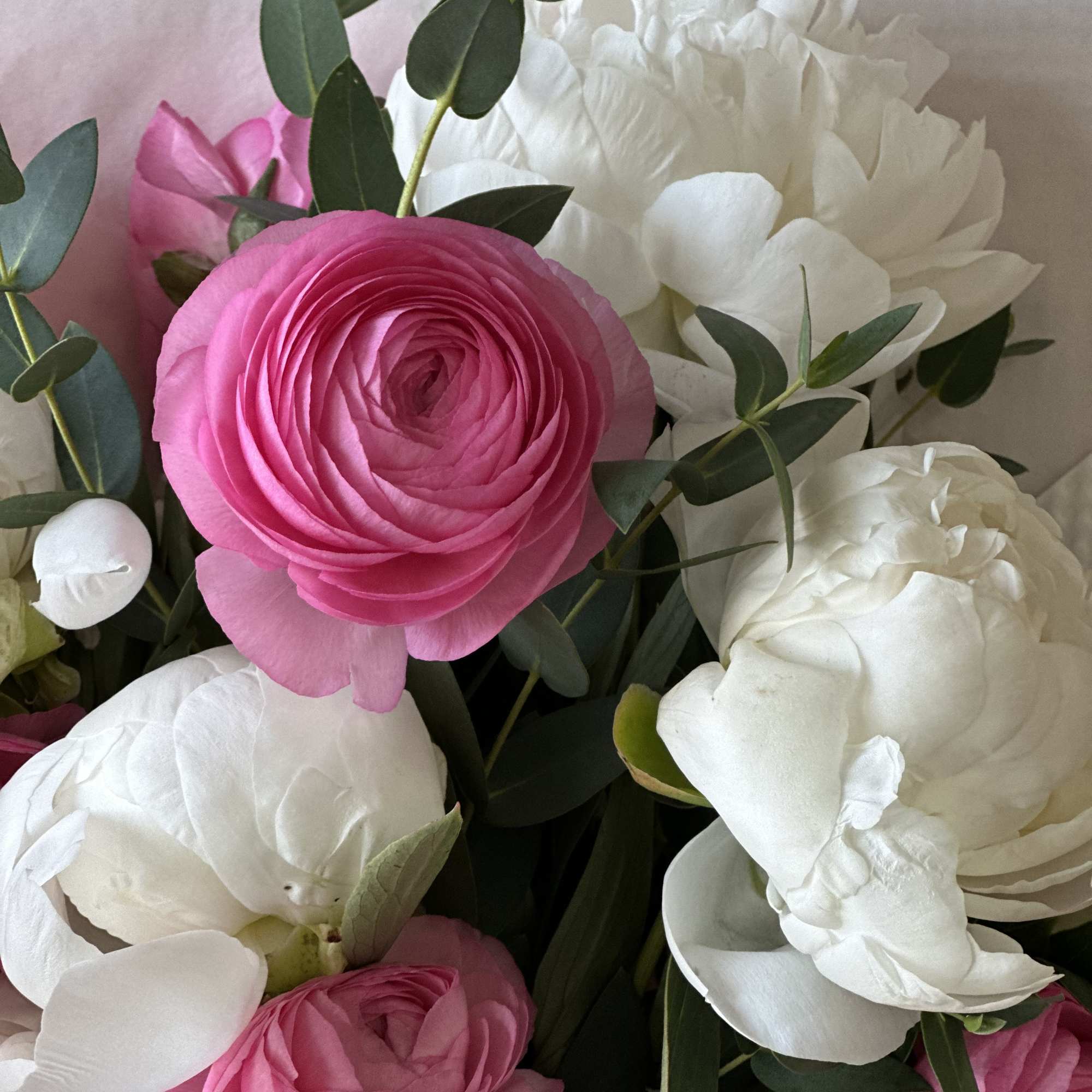 Pink ranunculus and white peonies in a bouquet