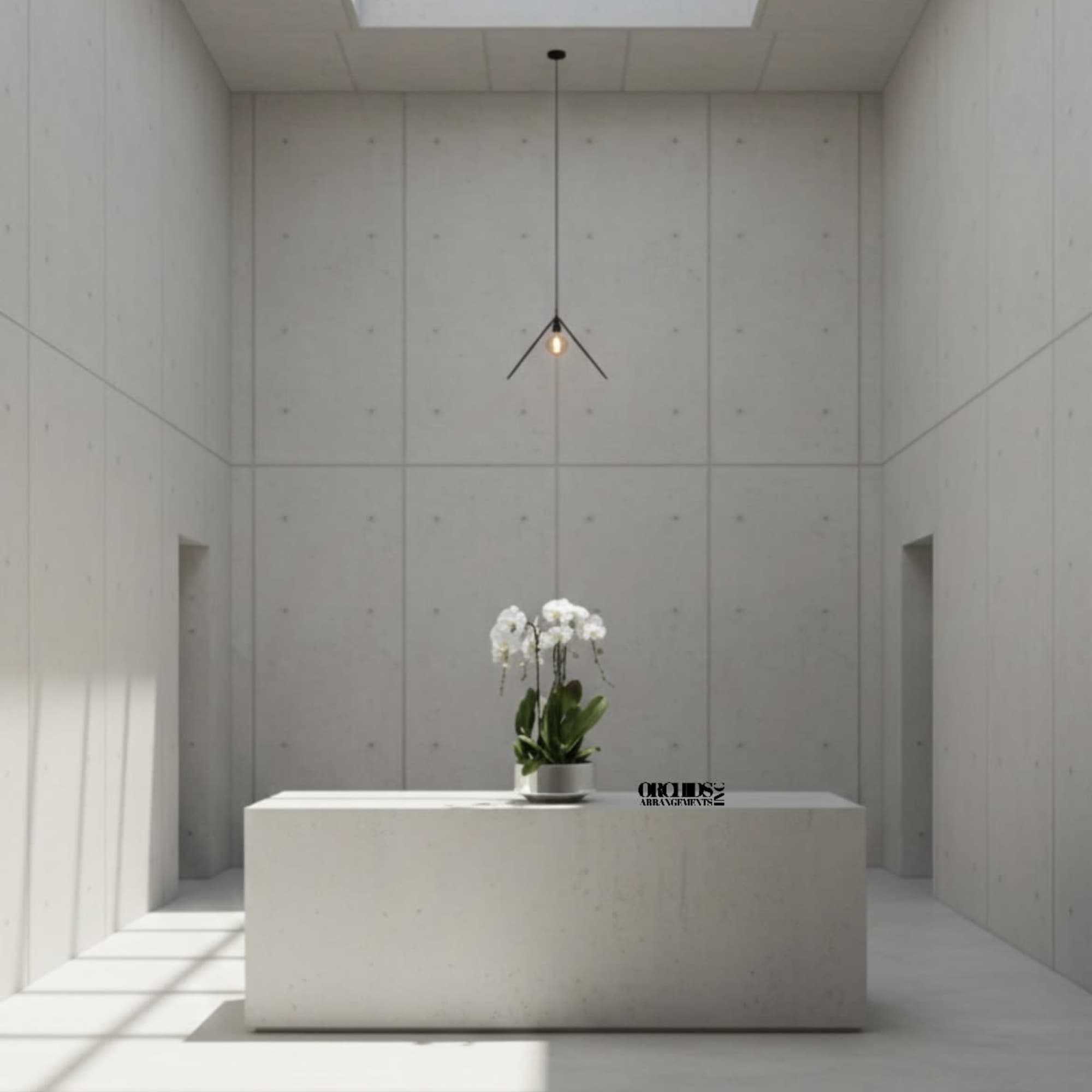 White orchids in a pot on a minimalist pedestal in a bright room
