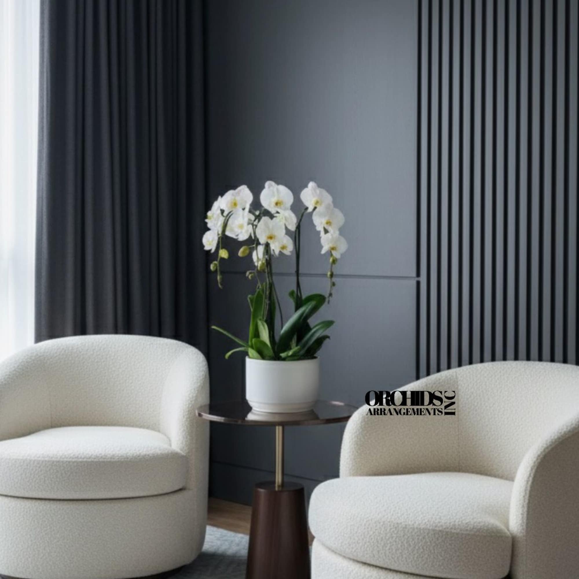 White orchids in a white pot on a small table between two chairs