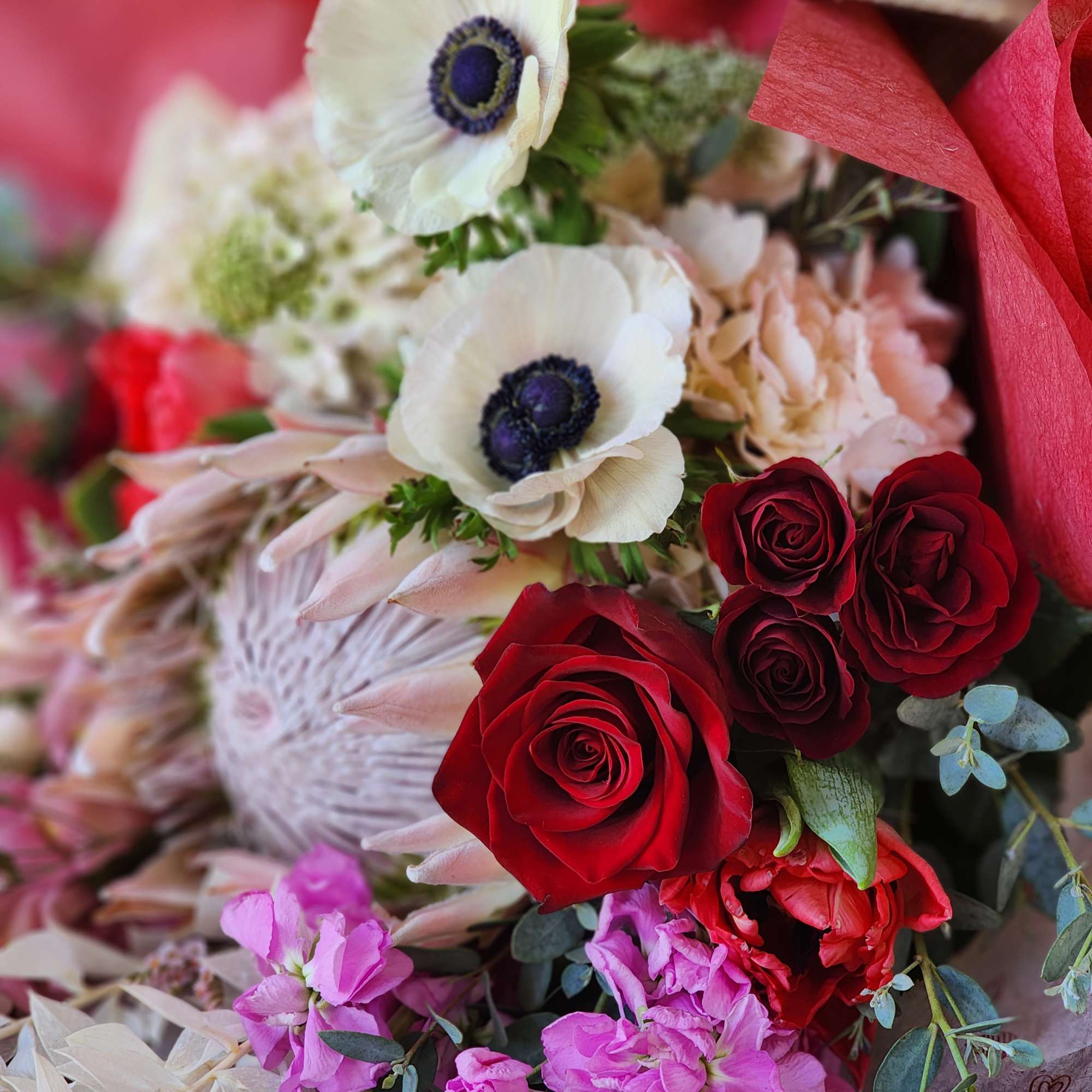 Bouquet of red roses, white anemones, and pink flowers
