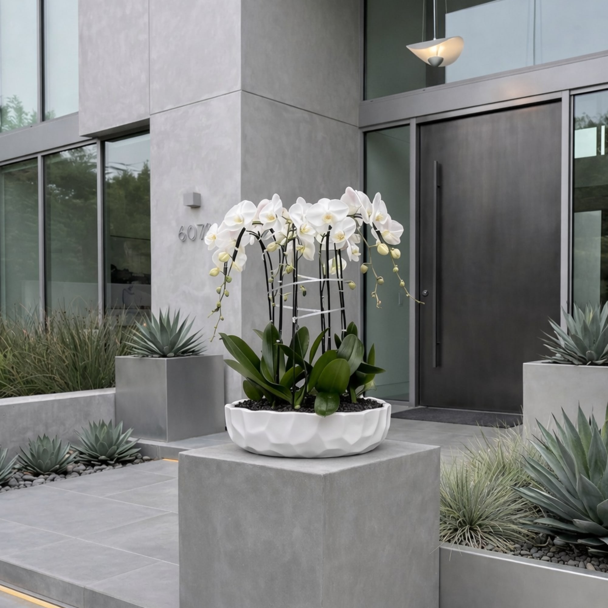 This elegant Nine White Phalaenopsis Cascade orchid arrangement creates a striking vertical