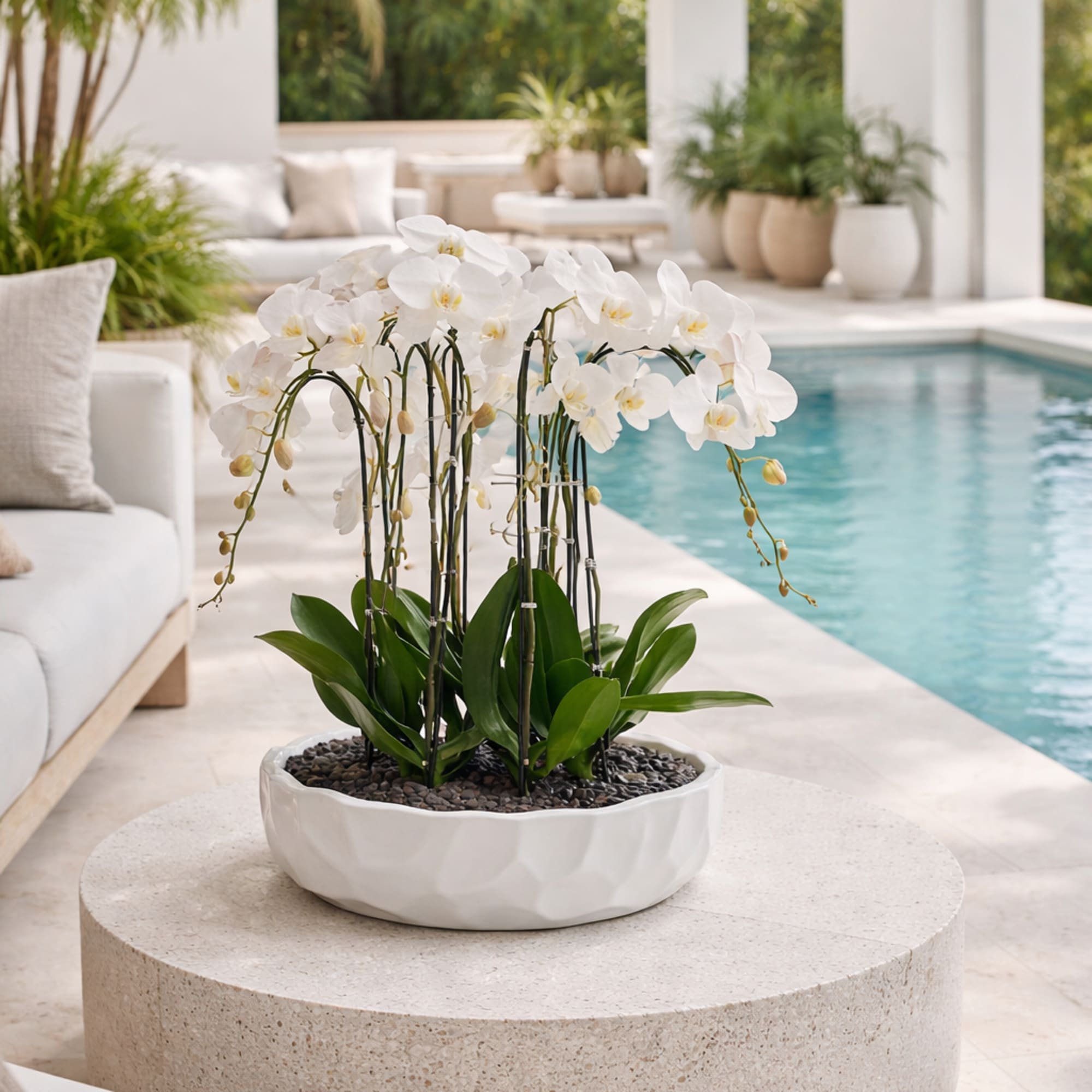 This elegant Eight White Phalaenopsis Cascade orchid arrangement creates a striking vertical