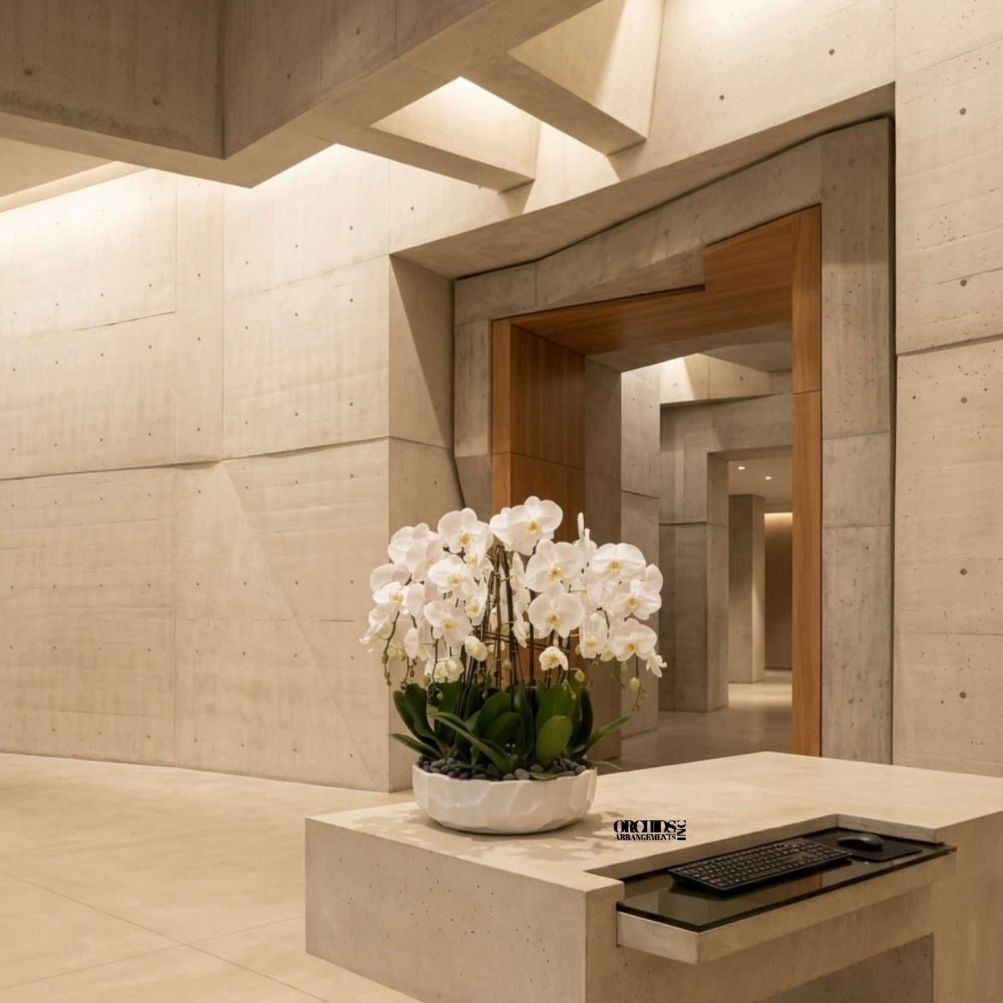 White phalaenopsis orchids in a low white bowl on a modern stone reception desk