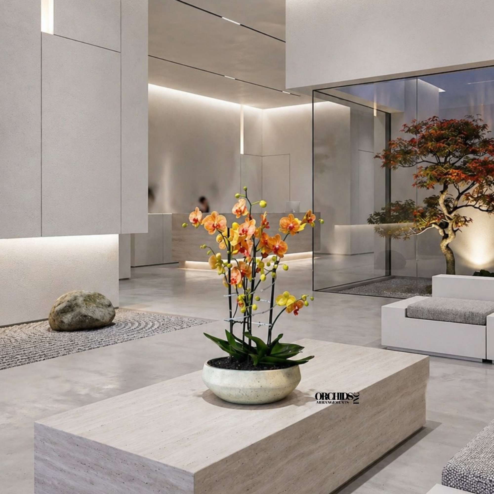 This elegant Six Peach Phalaenopsis Cascade orchid arrangement creates a striking vertical