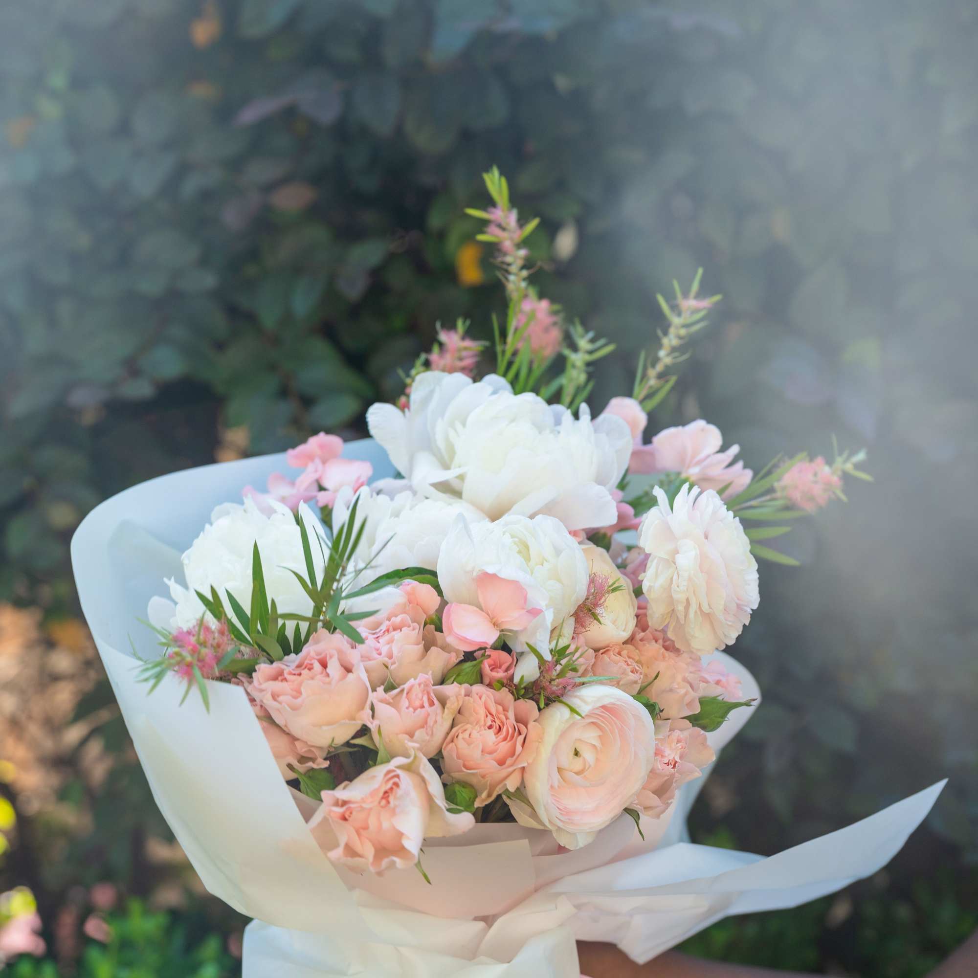 There is a kind of beauty that doesn't announce itself. It simply