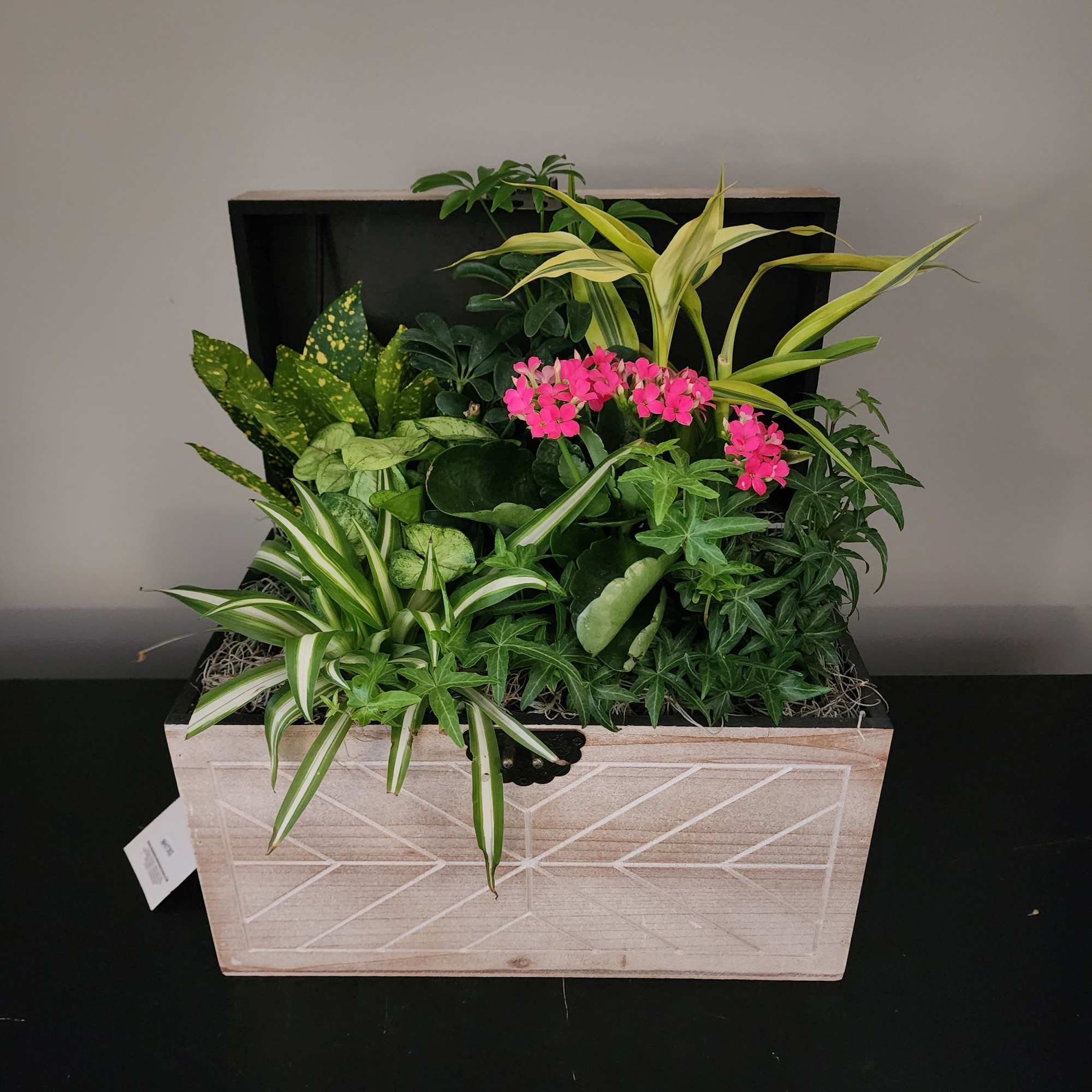 Blooming Plant Garden 

Bring natural beauty indoors with our charming Blooming Plant