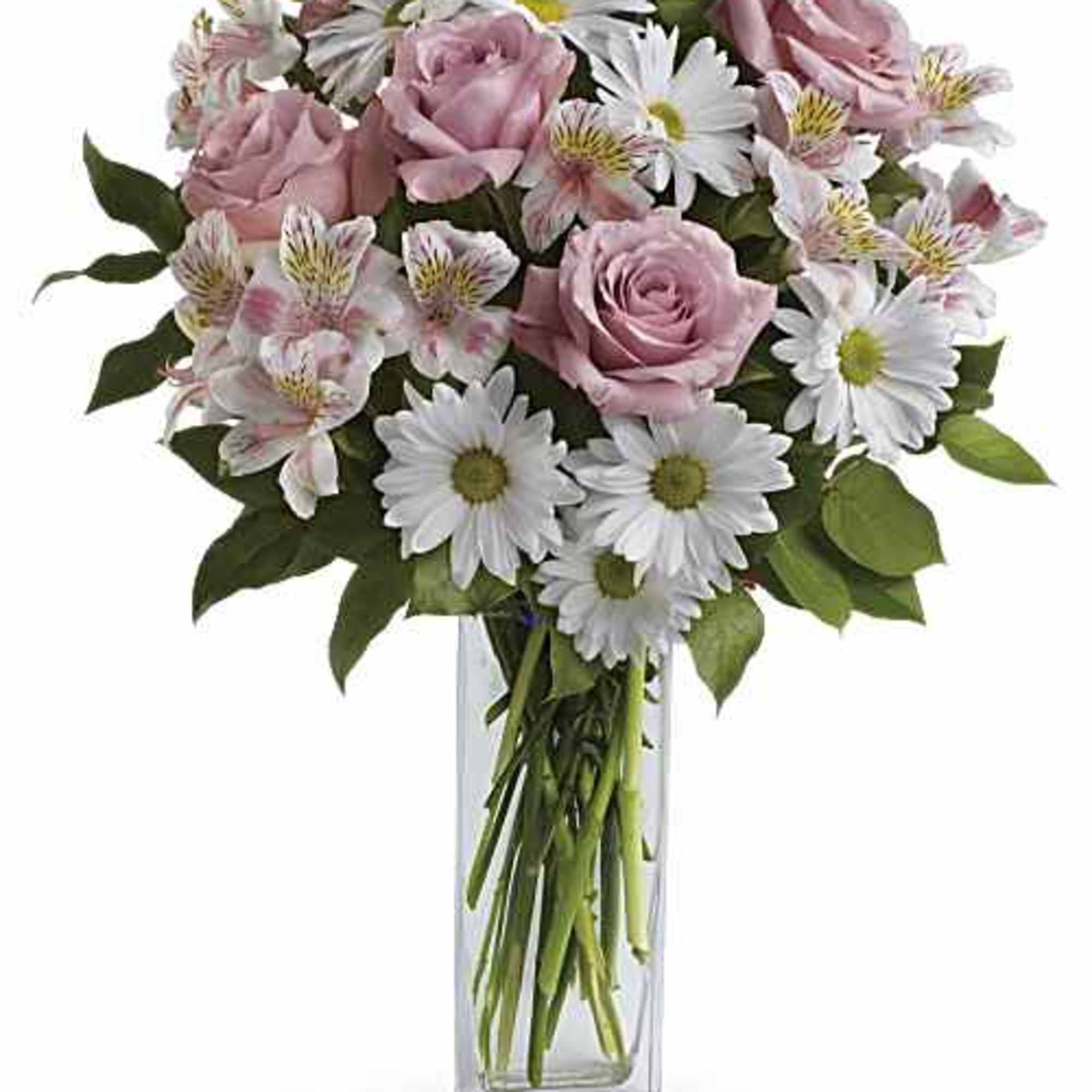 
Pamper her with pale pink carnations, pristine white daisies and your thoughtfulness.