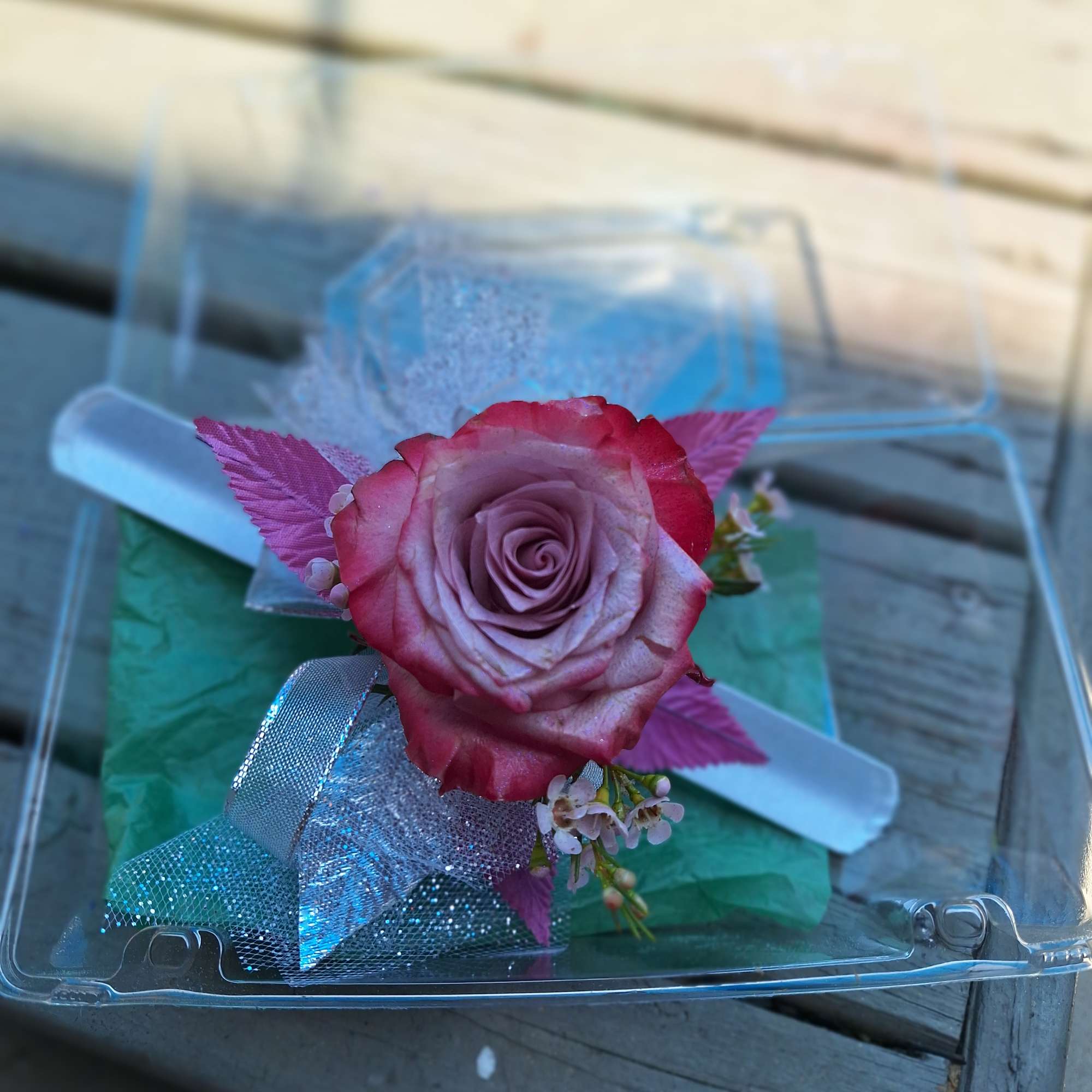 Single pink rose in a clear plastic box with ribbon