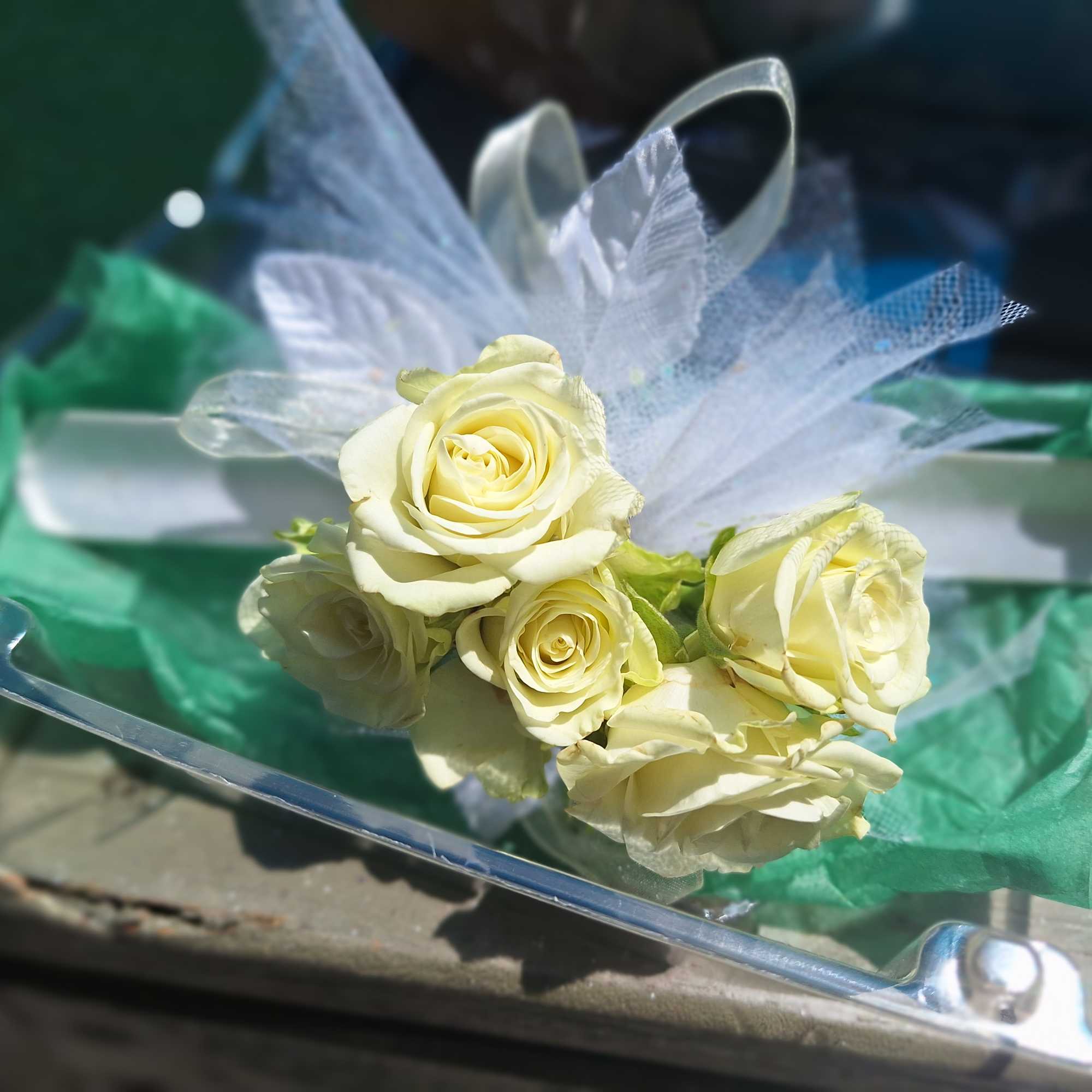 Cream rose corsage with white tulle and green wrap