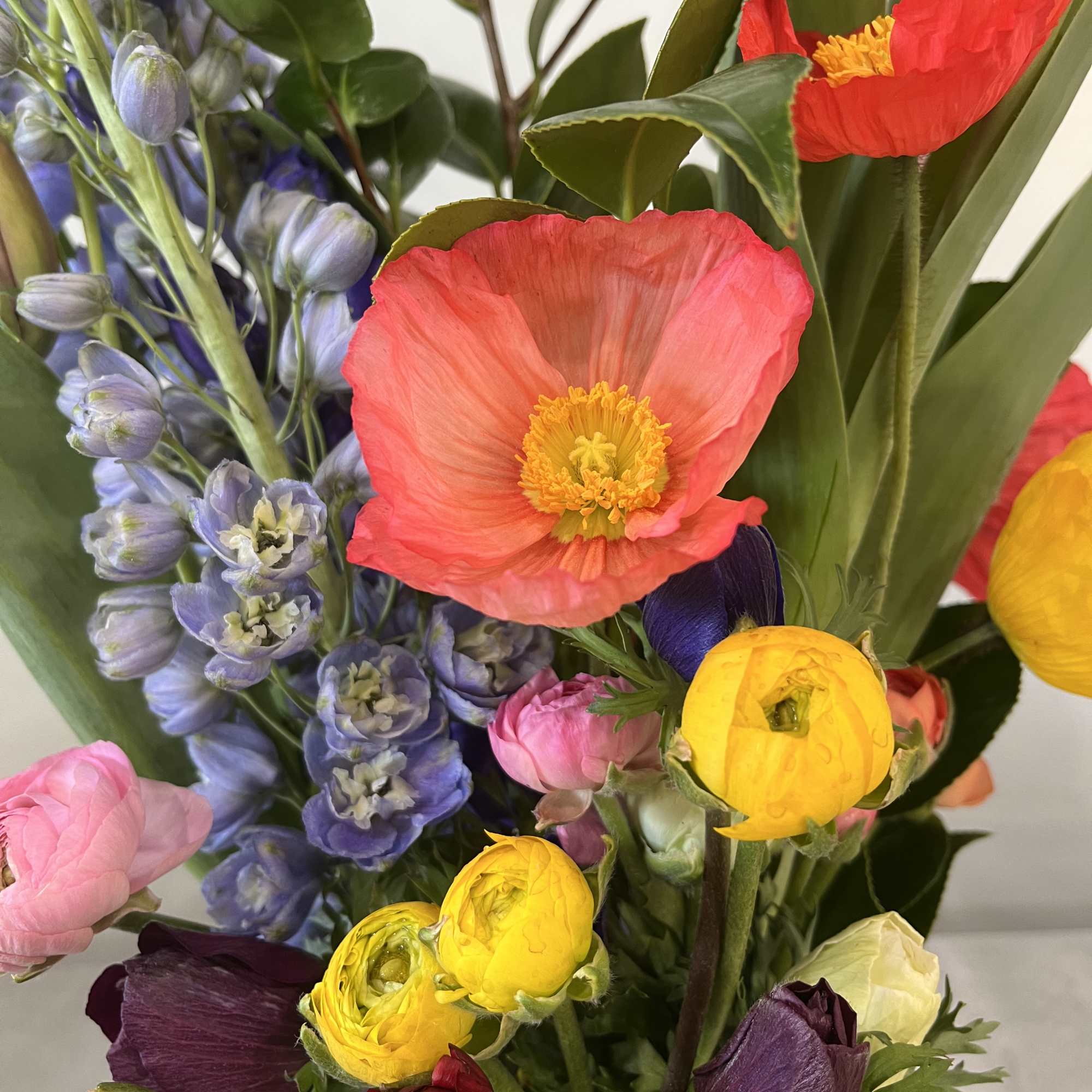 Arrangement of orange poppies, yellow ranunculus, and blue delphinium in a bright mixed bouquet