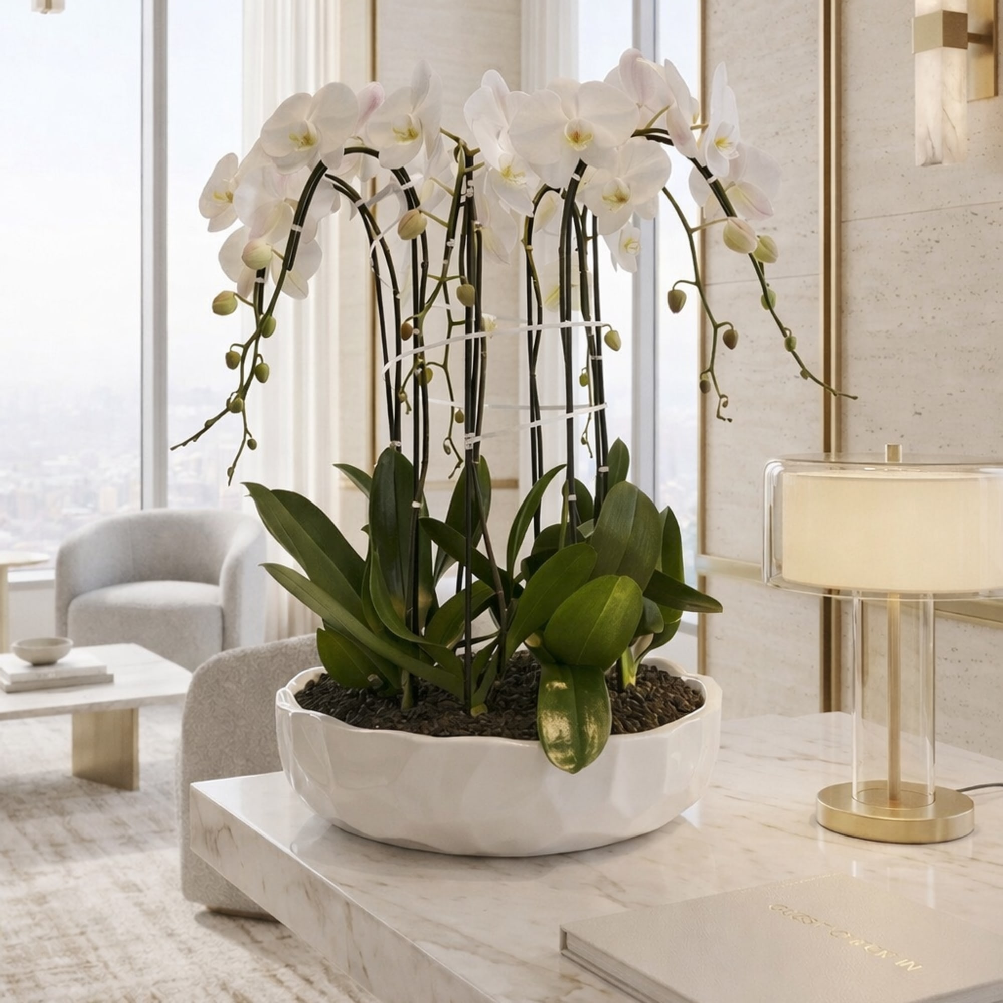 White orchid plant in a white bowl planter on a marble table