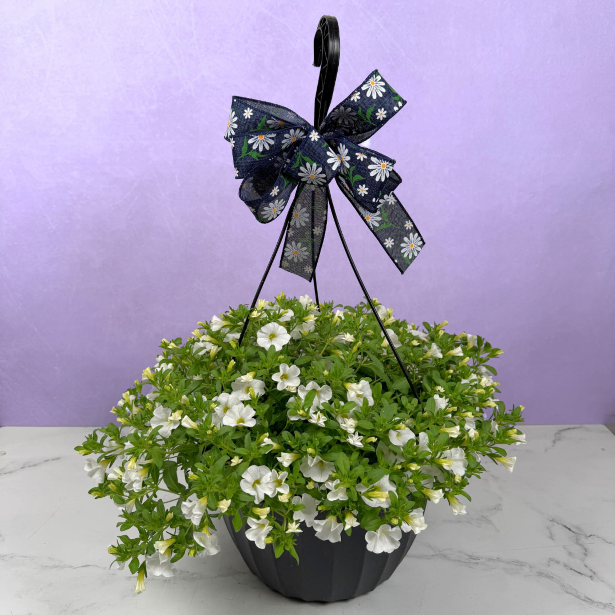 Celebrate Mother's Day with a great deal and send a beautiful hanging