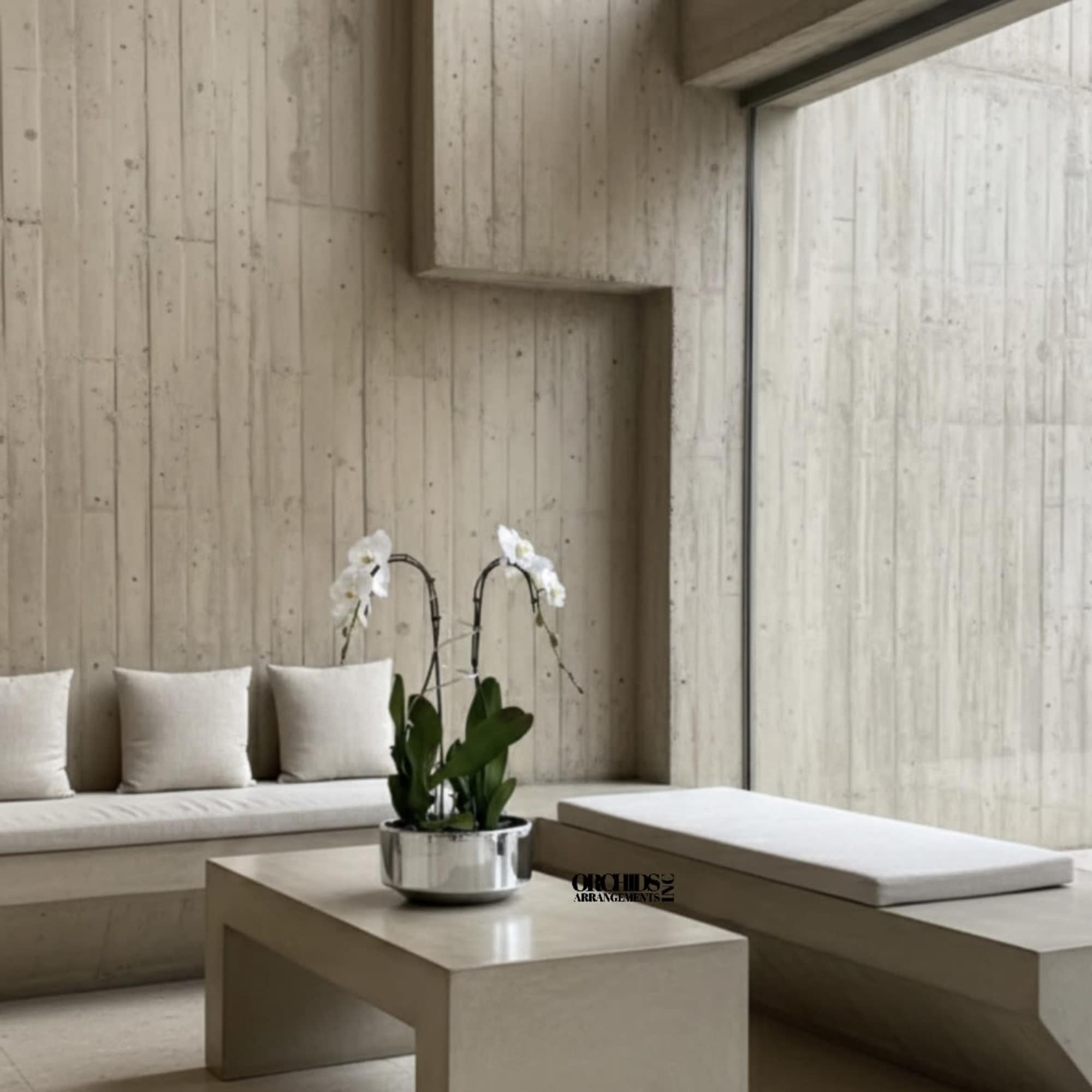 White orchids in a silver pot on a beige table in a modern room