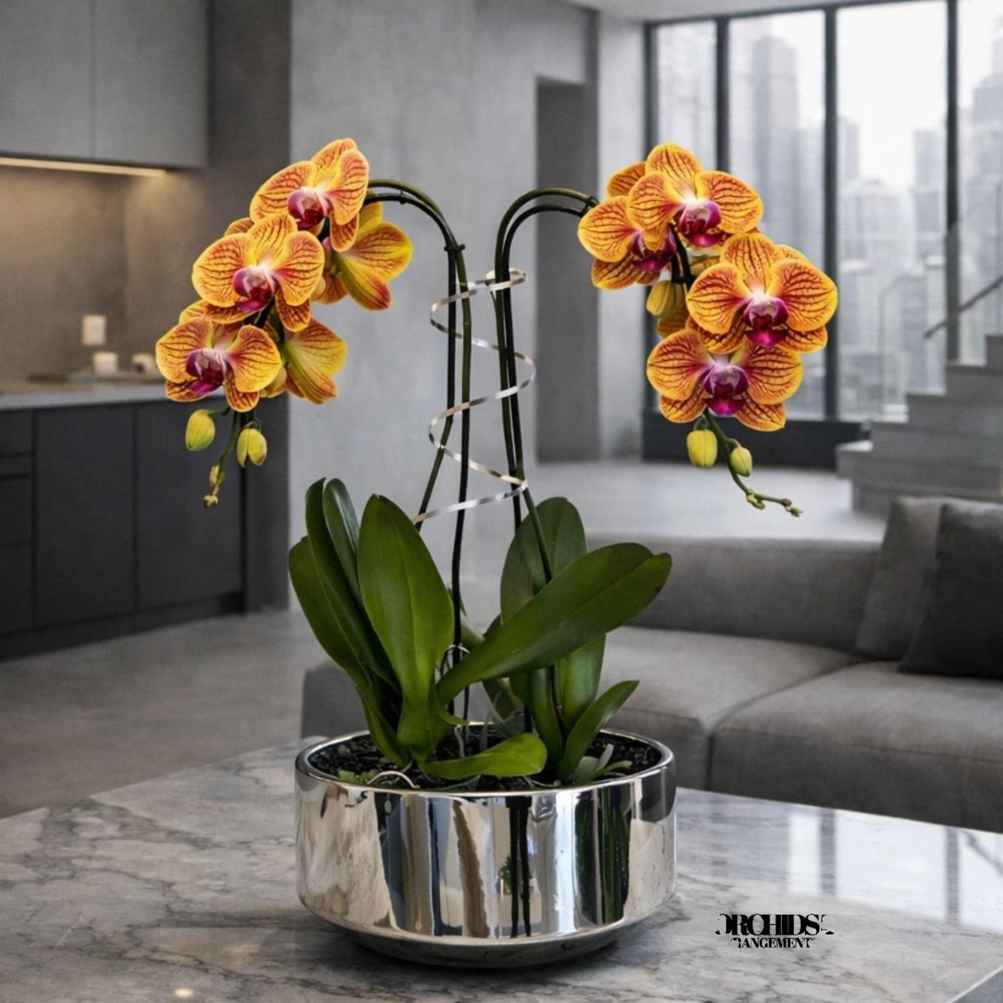 Potted orchid arrangement with yellow and magenta blooms in a silver bowl